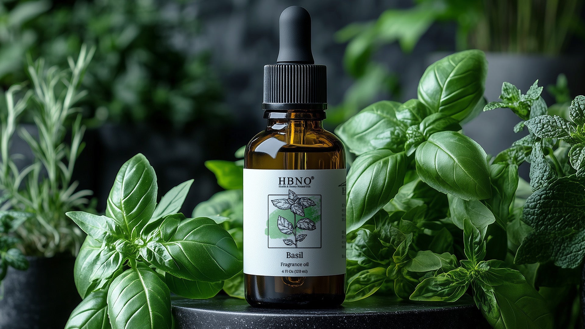Basil Essential Oil Benefits for Skin and More