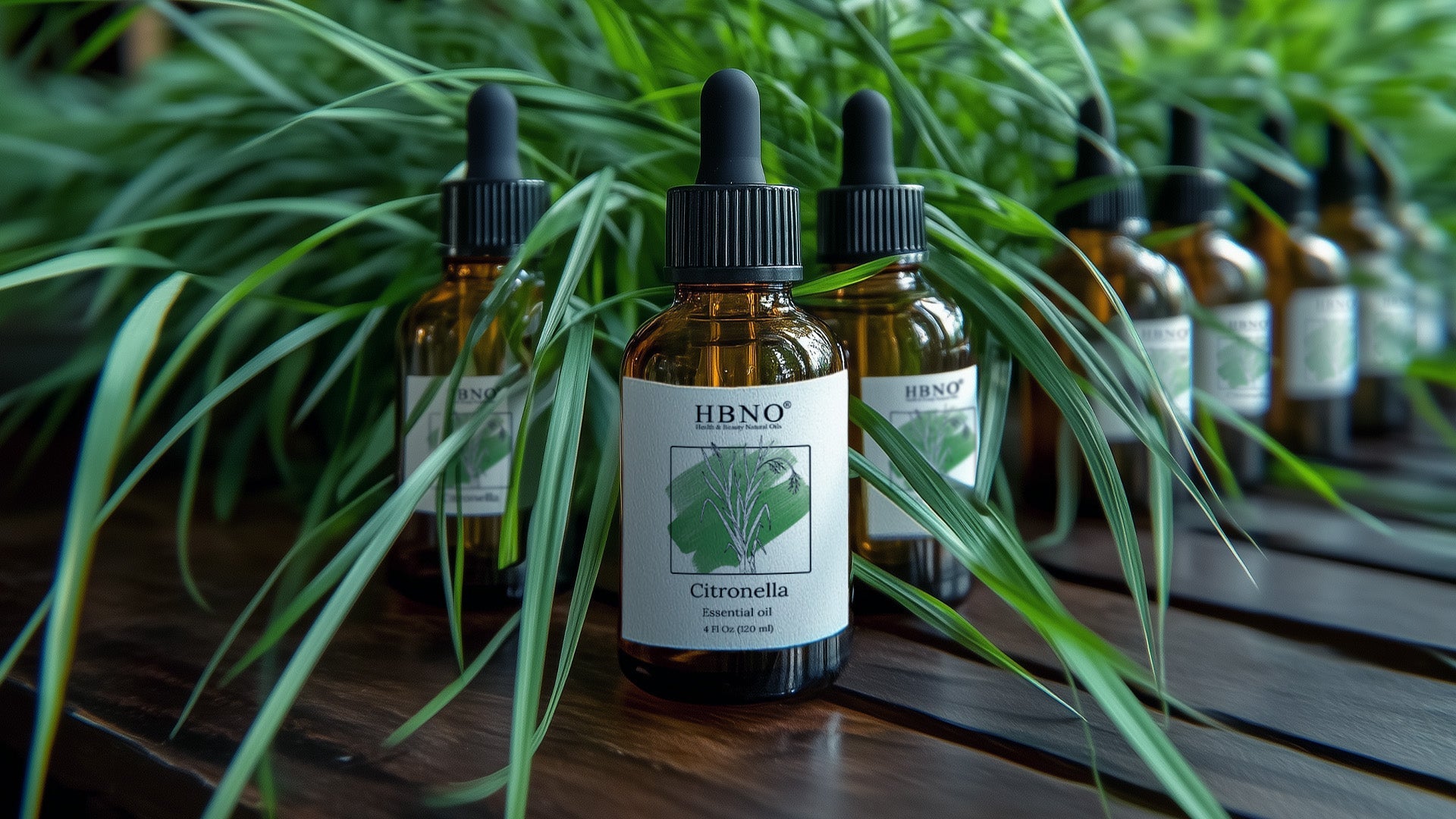 Citronella Essential Oil Benefits: A Natural Solution for Health and Wellness