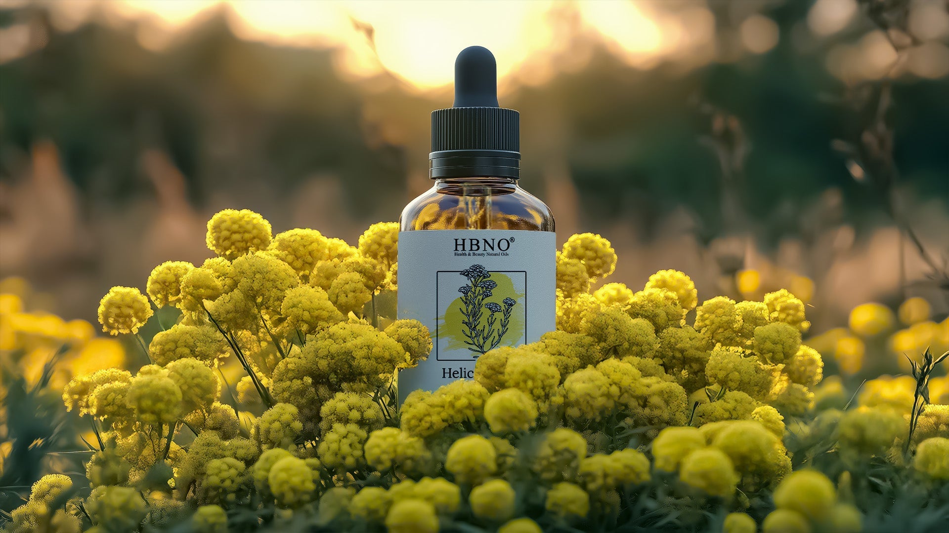 How to Use Helichrysum Oil to Reduce Scars Effectively