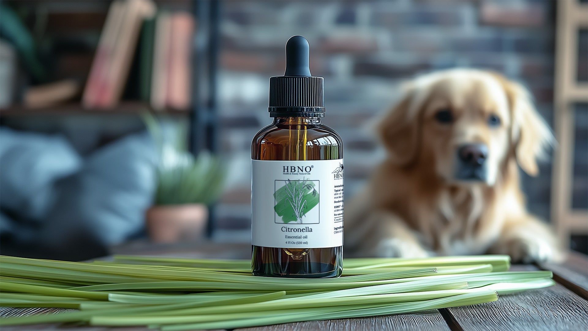Is Citronella Oil Safe for Dogs? What You Need to Know