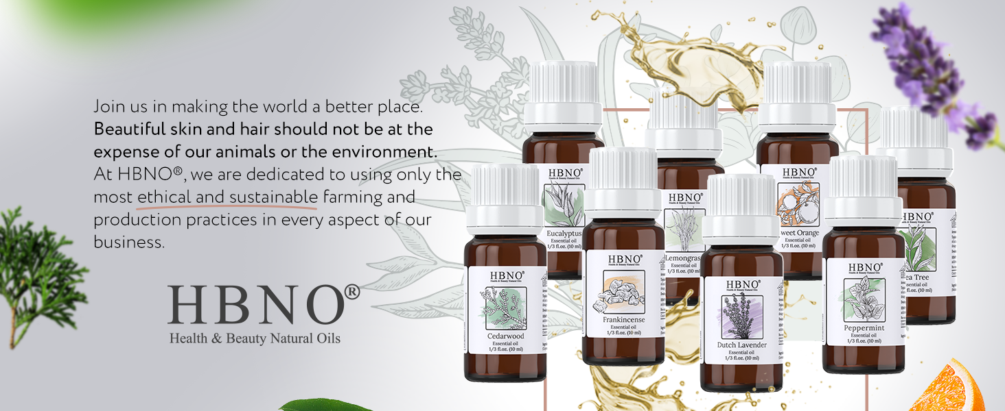 Essential Oil Gift Set 8 Set Essential Oil Gift Set 8 Set