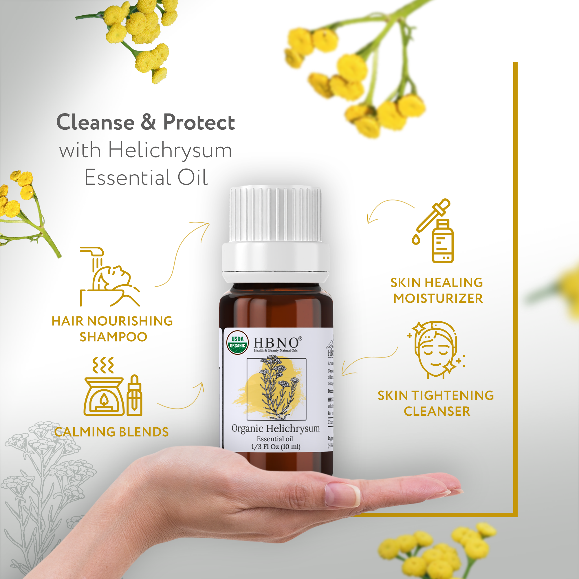 Helichrysum Italicum Essential Oil Organic Helichrysum Italicum Essential Oil Organic