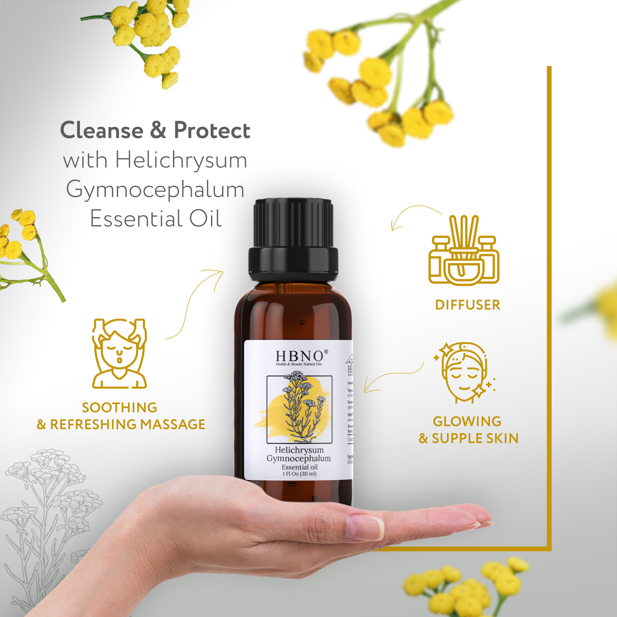 Helichrysum Gymnocephalum Essential Oil Helichrysum Gymnocephalum Essential Oil