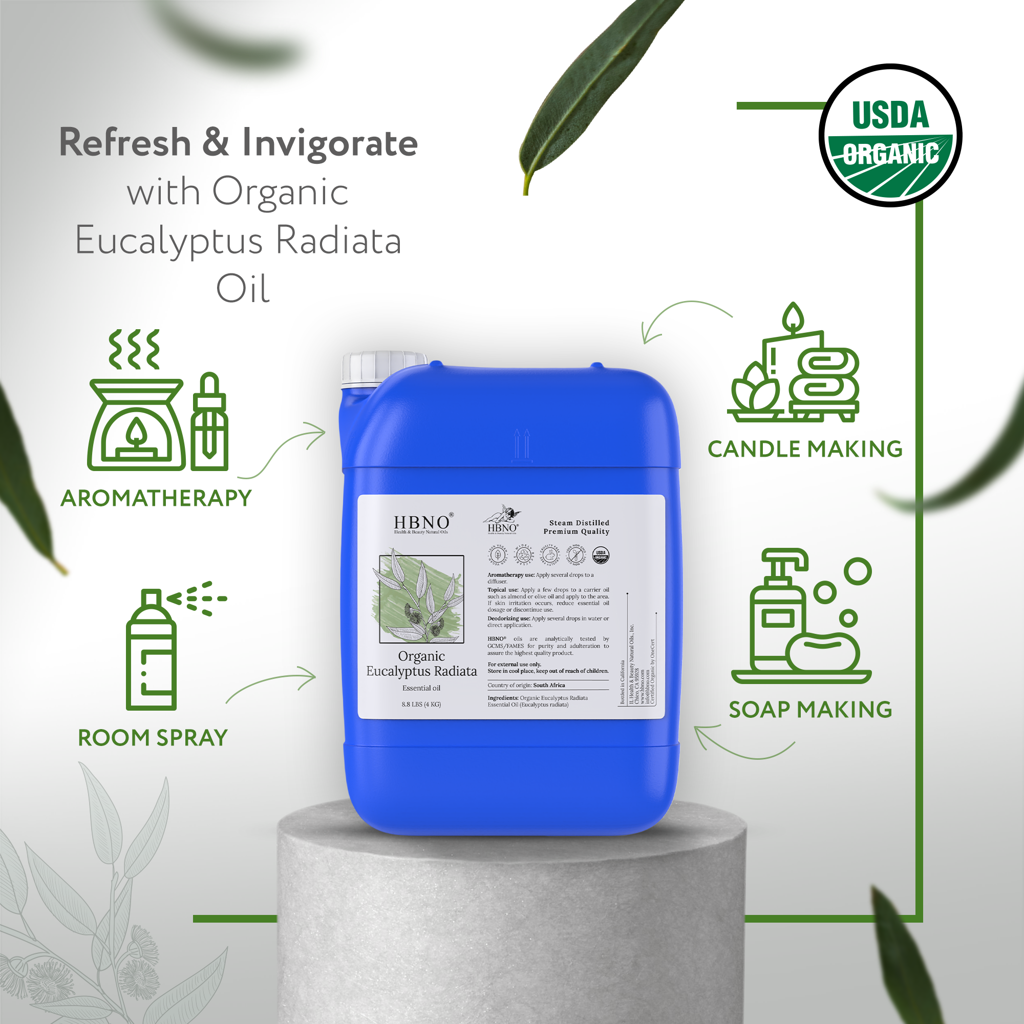 Eucalyptus Radiata Essential Oil Organic Eucalyptus Radiata Essential Oil Organic