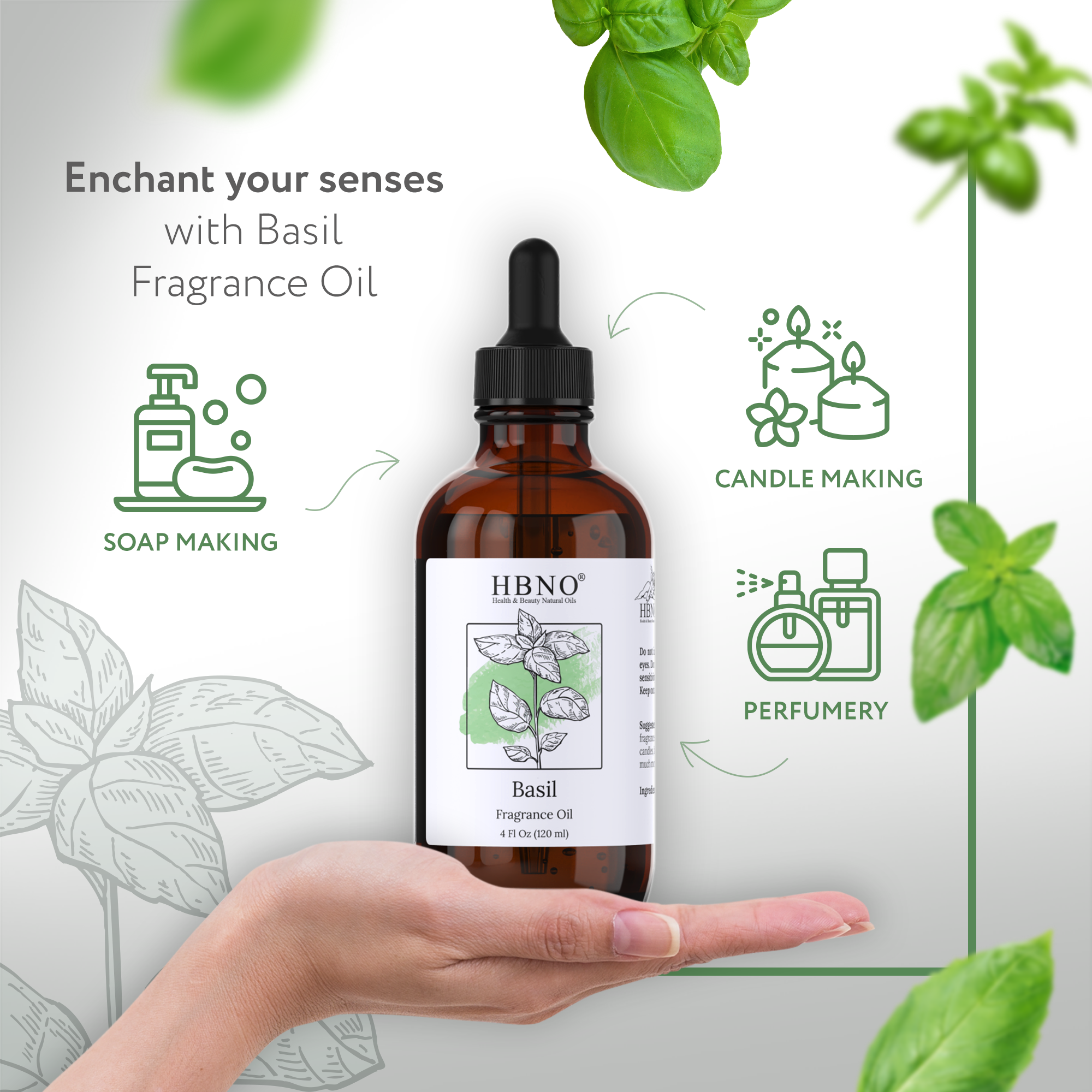 Basil Natural Fragrance Basil Natural Fragrance