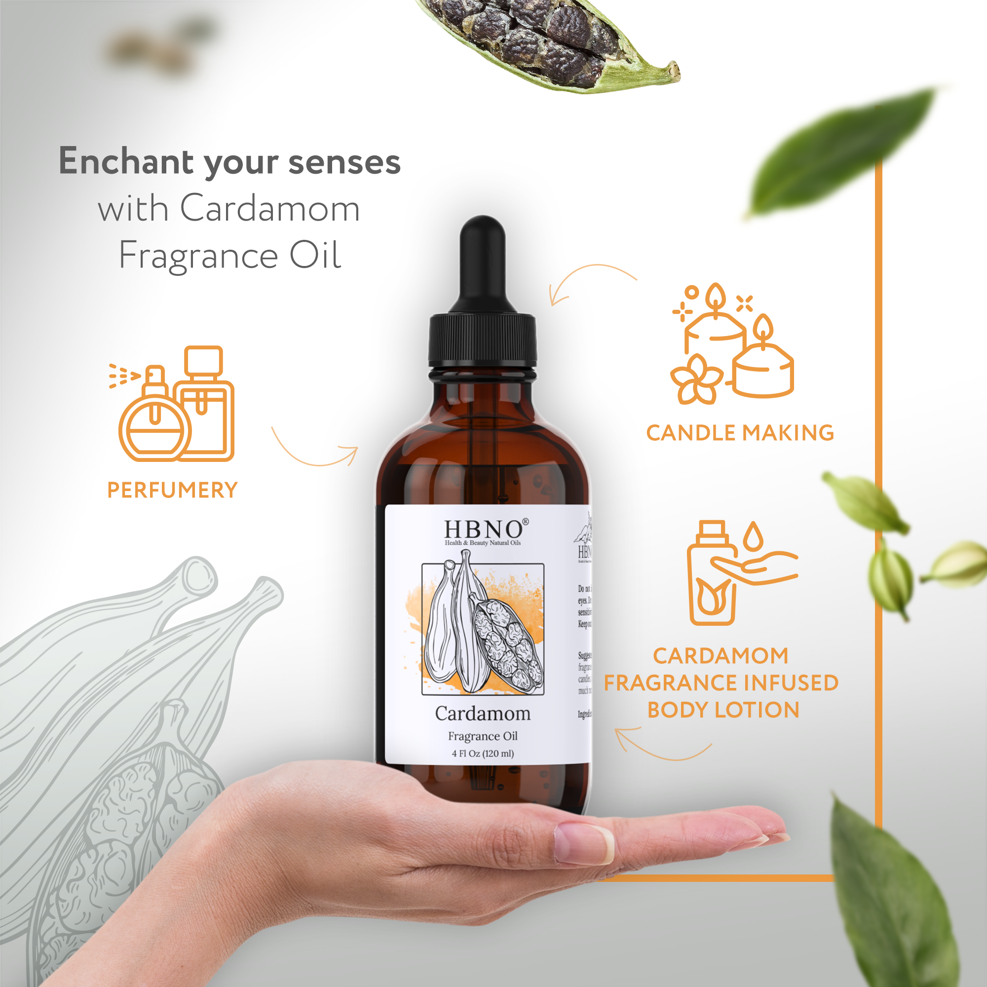 Cardamom Natural Fragrance Cardamom Natural Fragrance