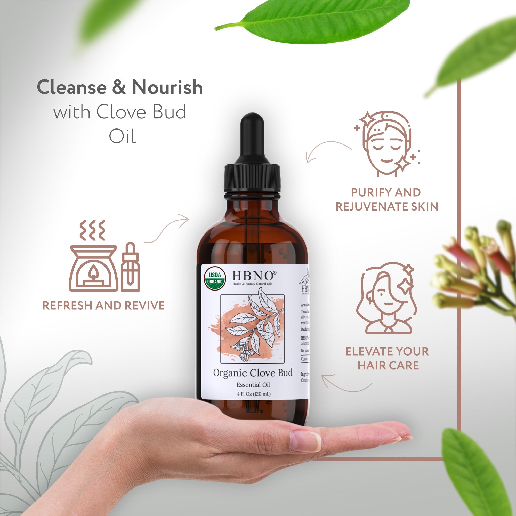 Clove Bud Essential Oil Organic Clove Bud Essential Oil Organic