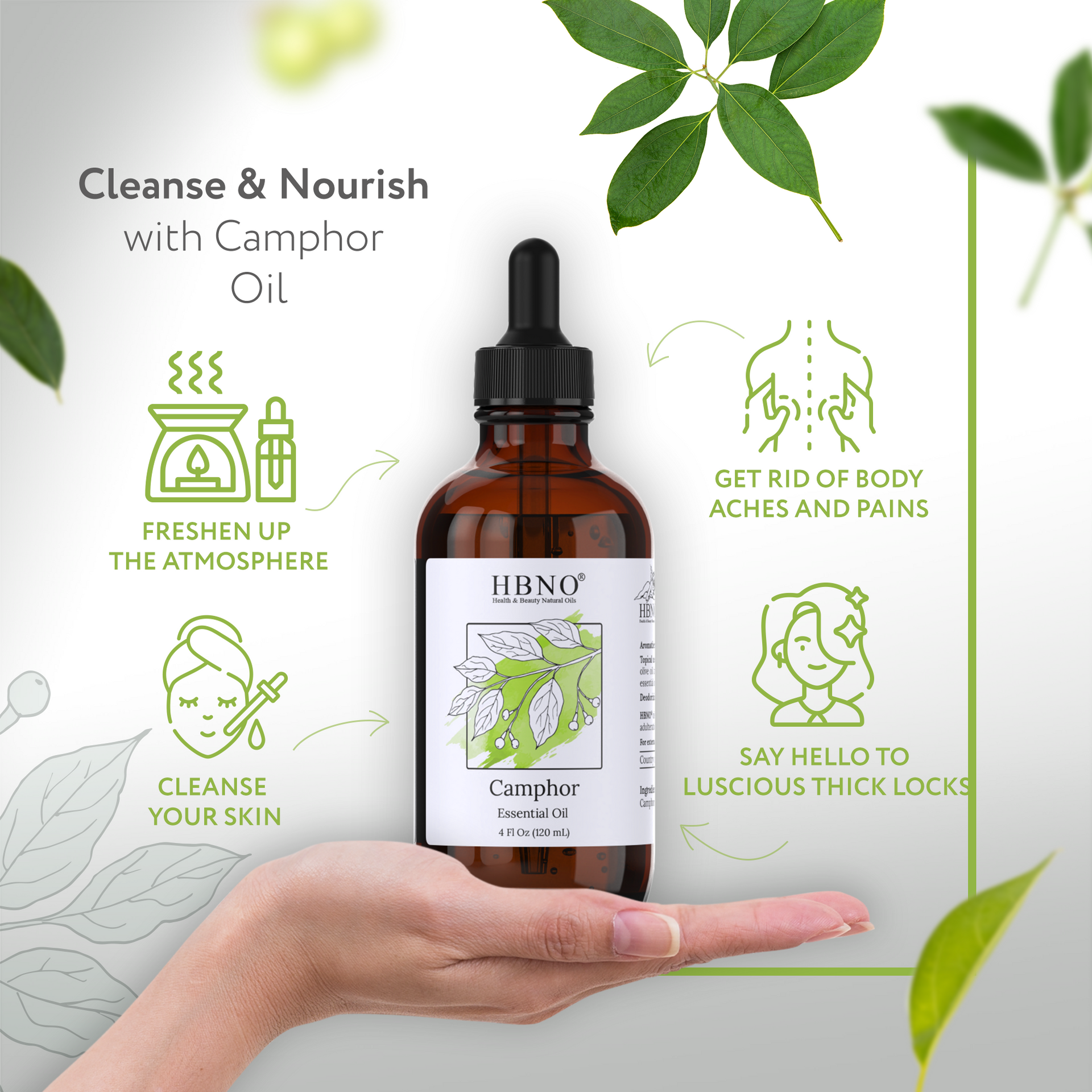 Camphor White Essential Oil Camphor White Essential Oil