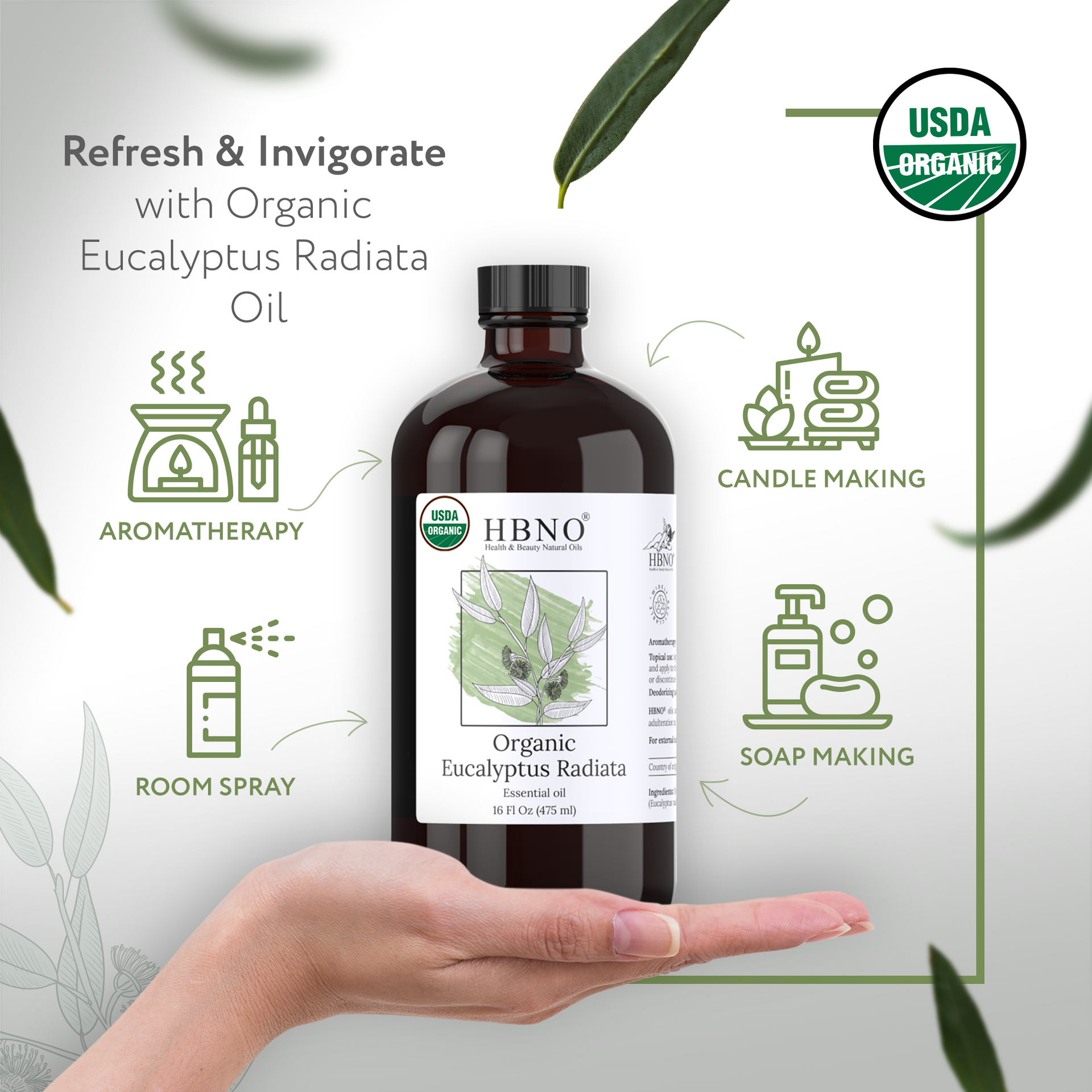 Eucalyptus Radiata Essential Oil Organic Eucalyptus Radiata Essential Oil Organic