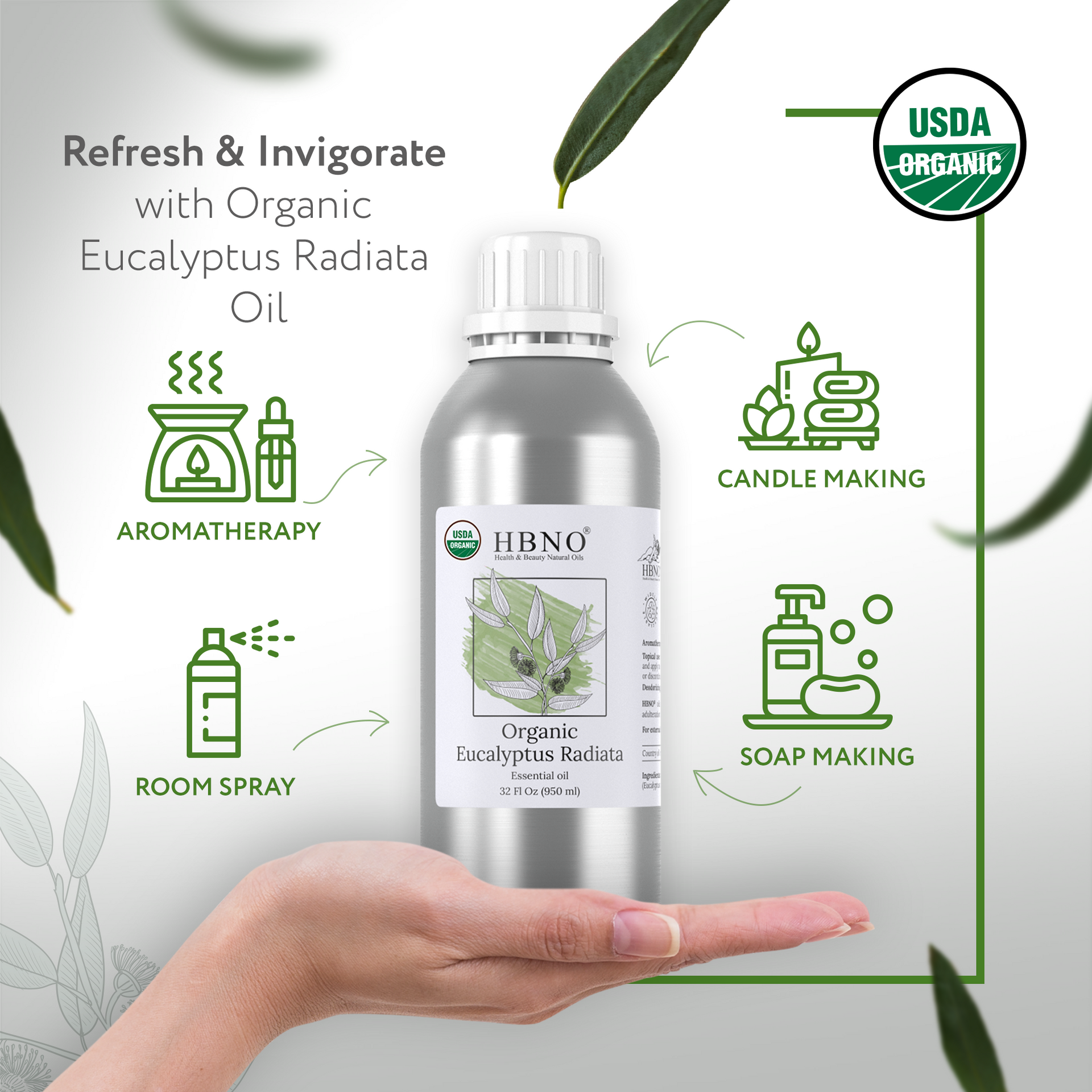 Eucalyptus Radiata Essential Oil Organic Eucalyptus Radiata Essential Oil Organic
