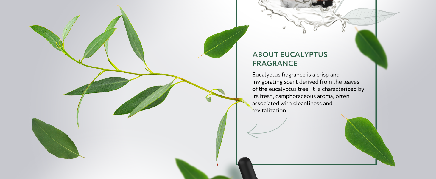 Tea Tree Natural Fragrance Tea Tree Natural Fragrance