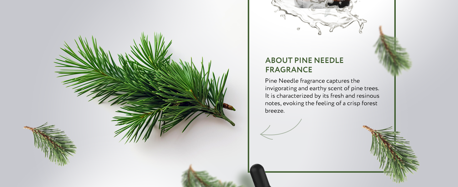 Pine Needle Natural Fragrance Pine Needle Natural Fragrance