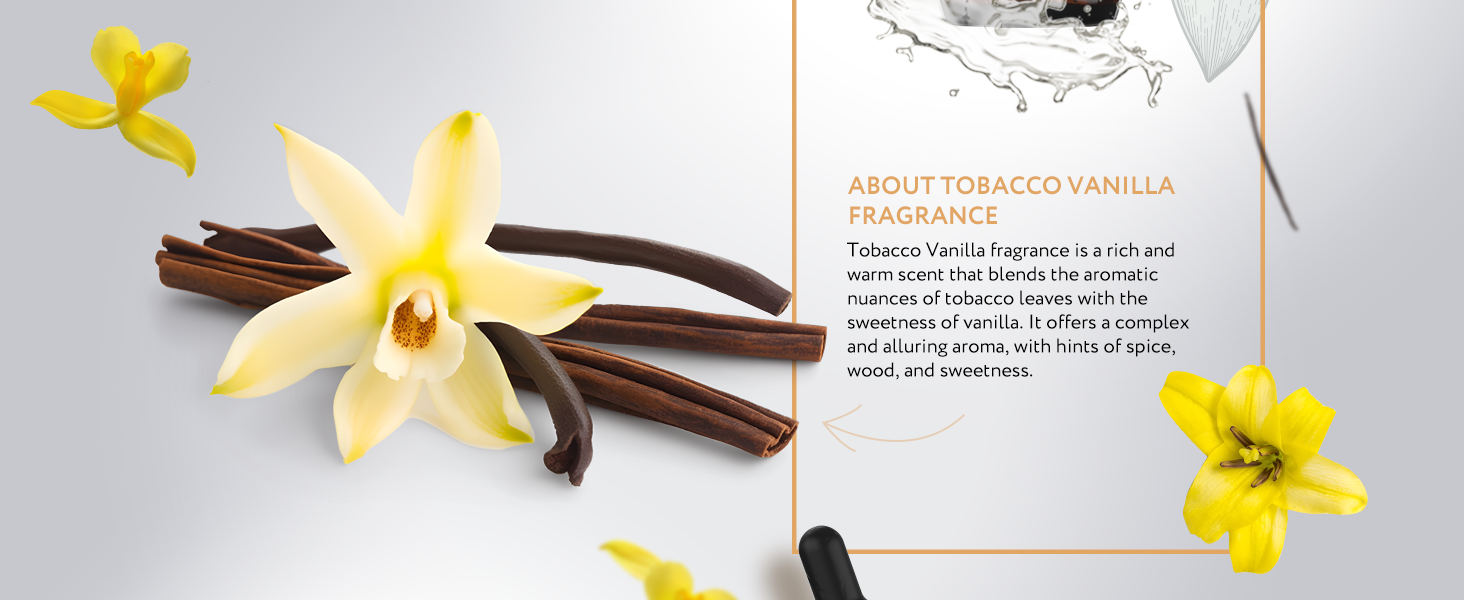 Tobacco Vanilla Fragrance Tobacco Vanilla Fragrance