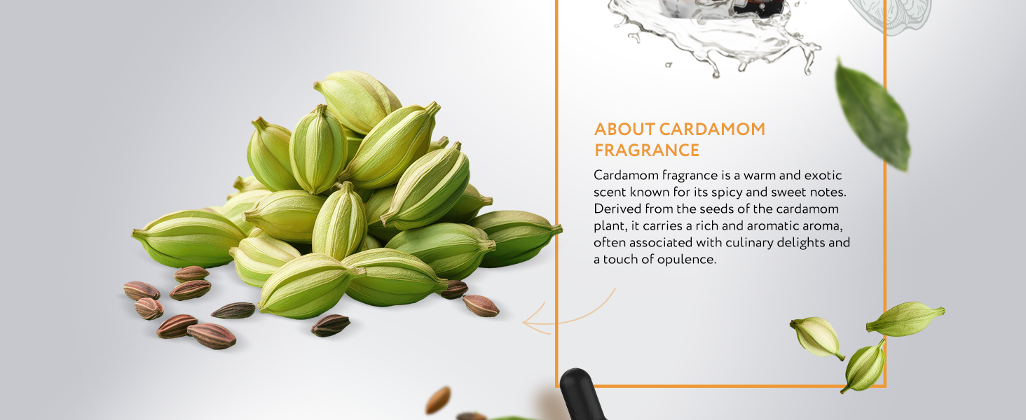 Cardamom Natural Fragrance Cardamom Natural Fragrance