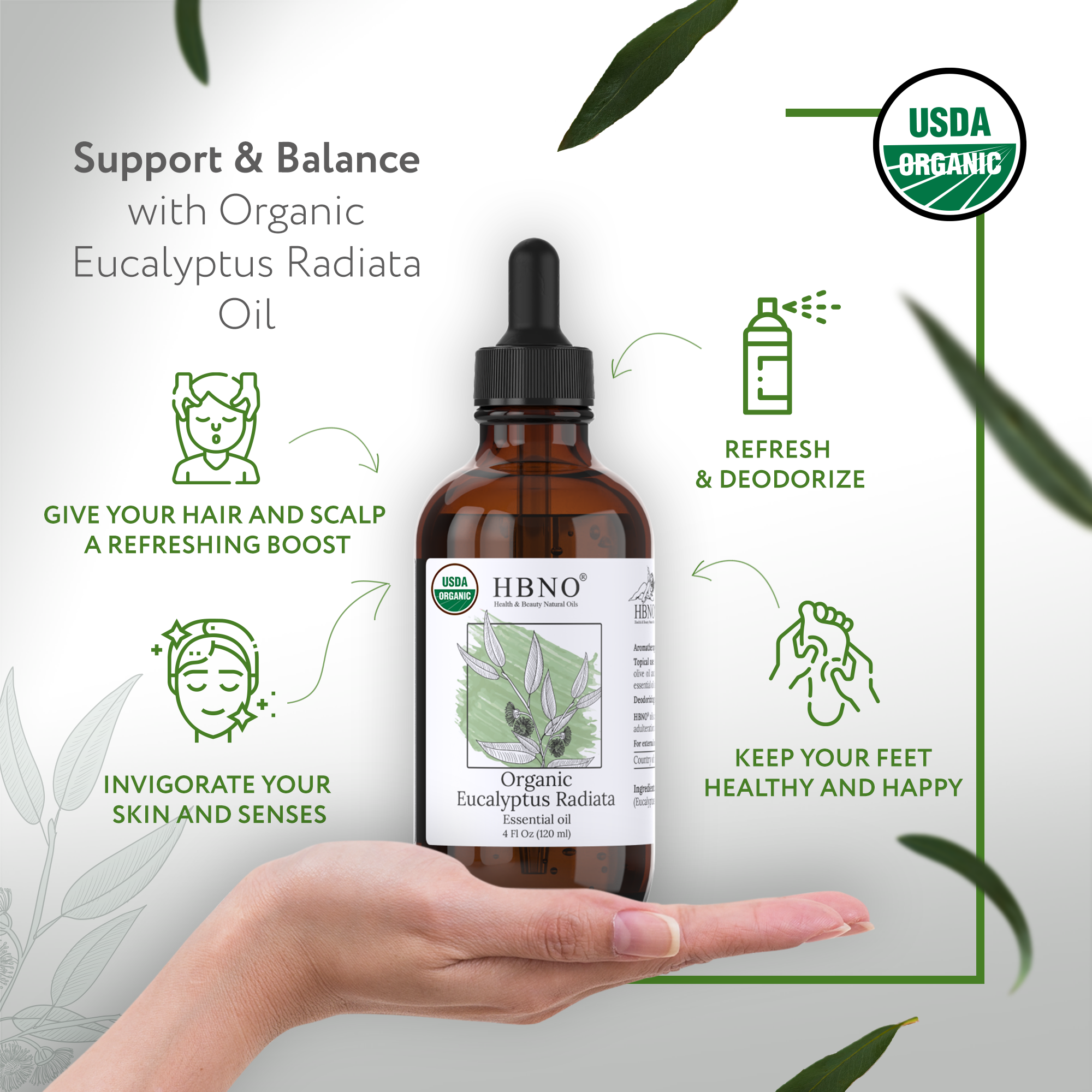 Eucalyptus Radiata Essential Oil Organic Eucalyptus Radiata Essential Oil Organic