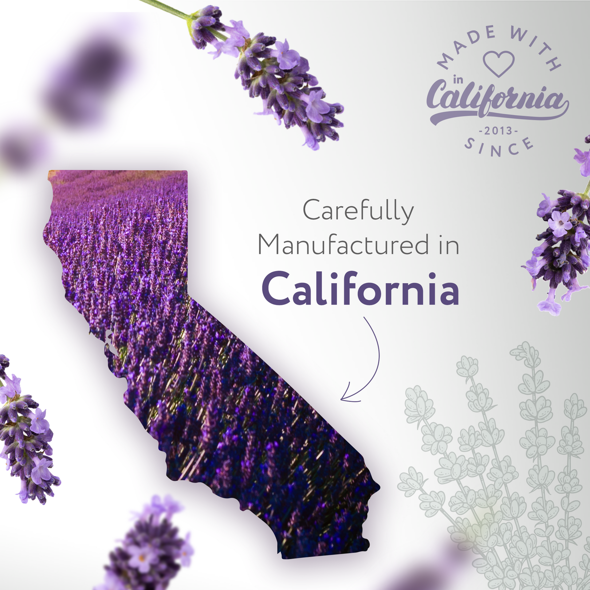 Lavender Natural Fragrance Lavender Natural Fragrance