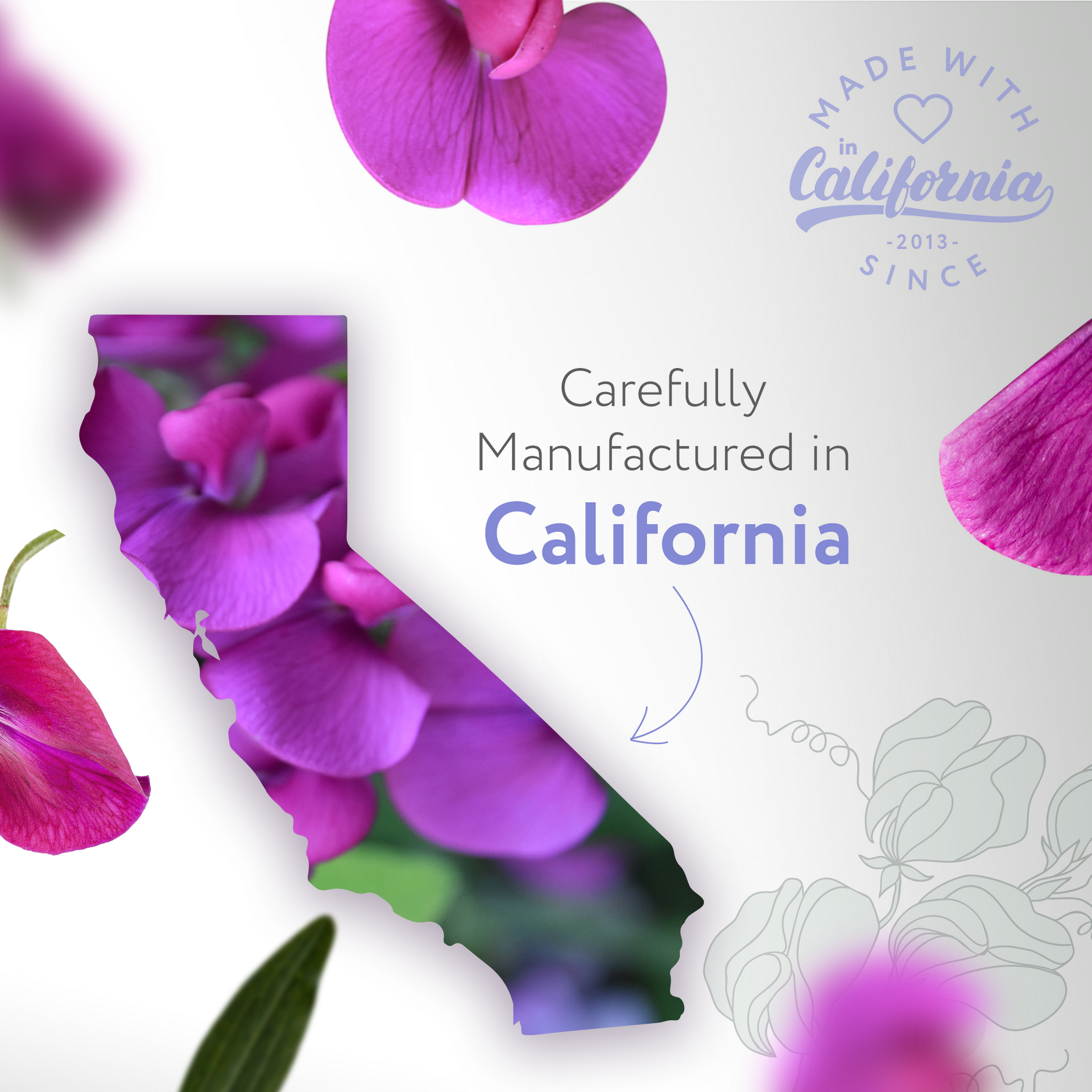 Sweet Pea Natural Fragrance Sweet Pea Natural Fragrance
