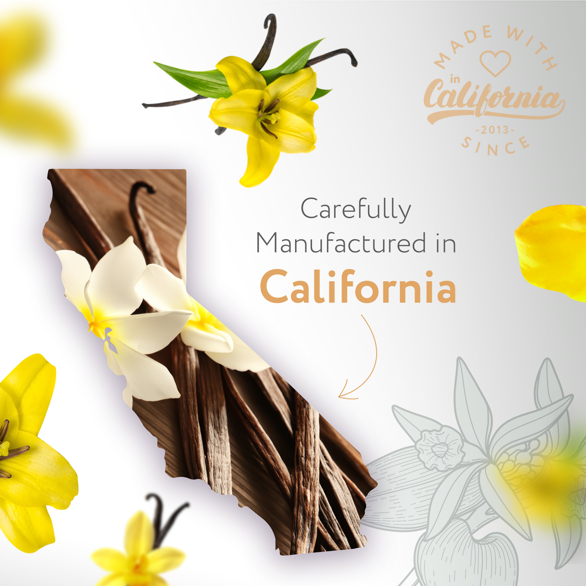 Tobacco Vanilla Fragrance Tobacco Vanilla Fragrance