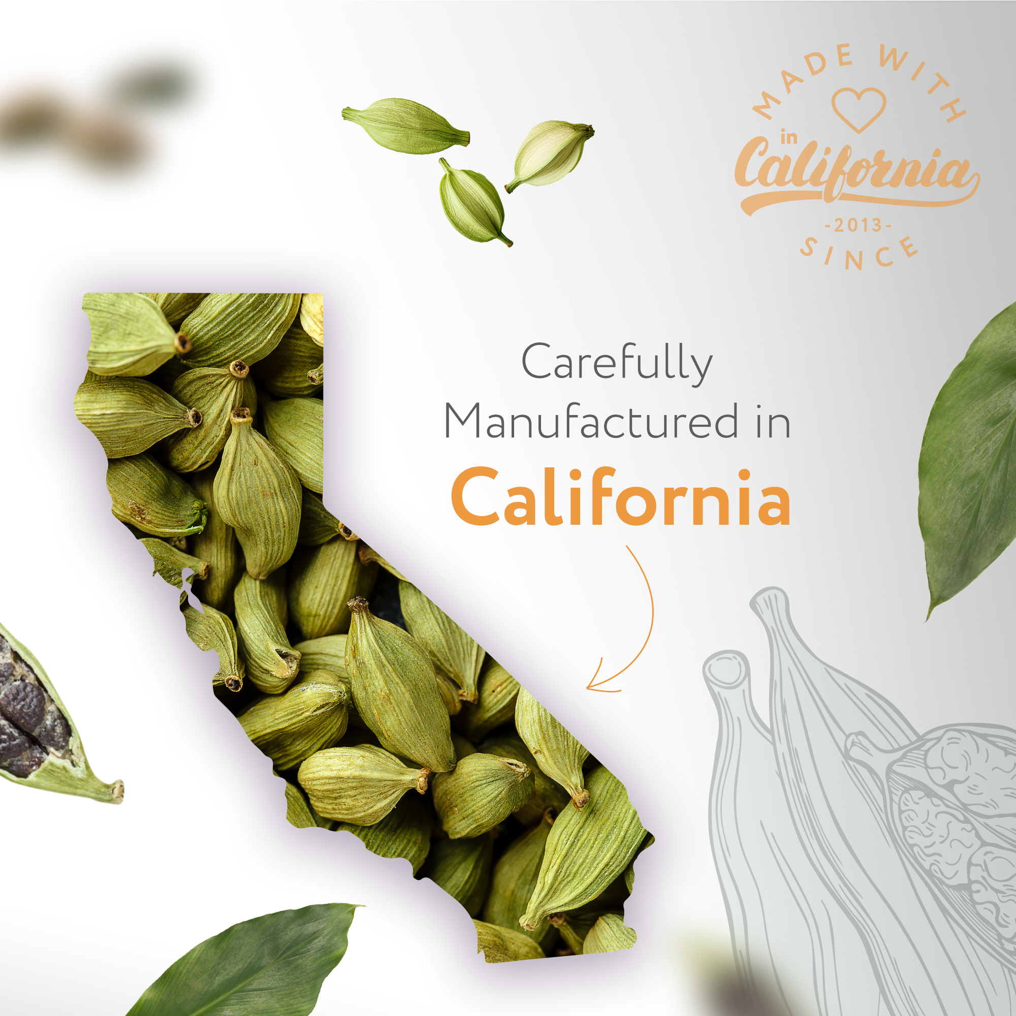 Cardamom Natural Fragrance Cardamom Natural Fragrance