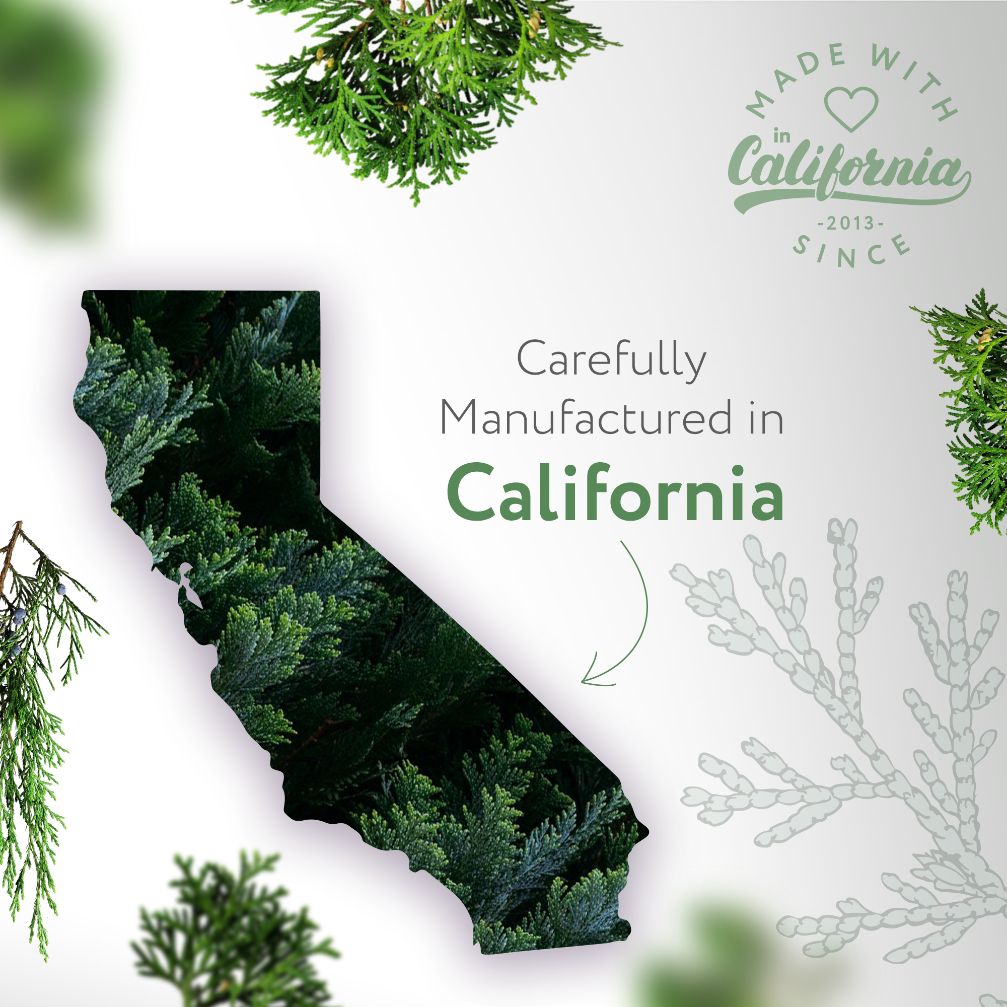 Cedarwood Natural Fragrance Cedarwood Natural Fragrance