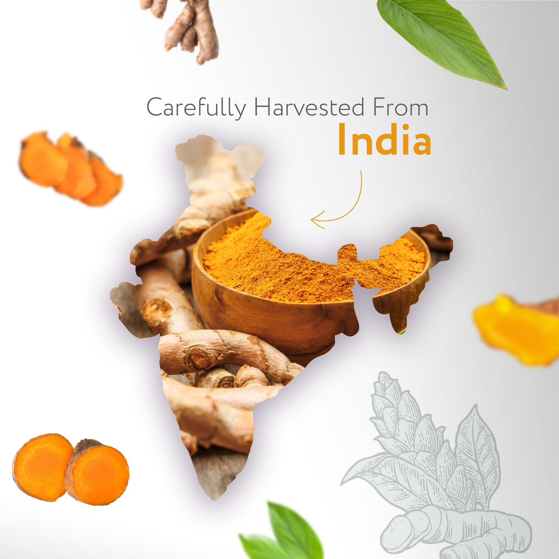 Turmeric Essential Oil Turmeric Essential Oil