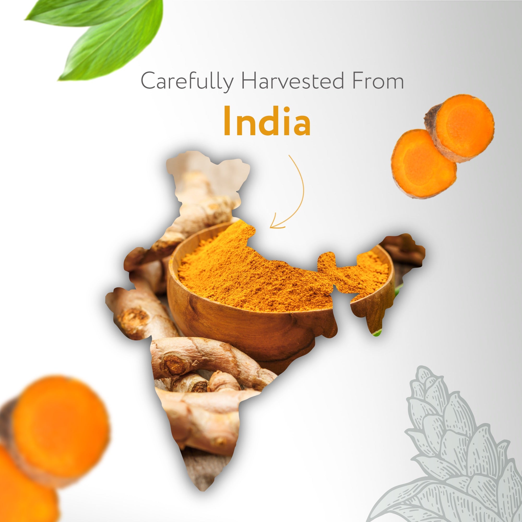Turmeric Essential Oil Turmeric Essential Oil