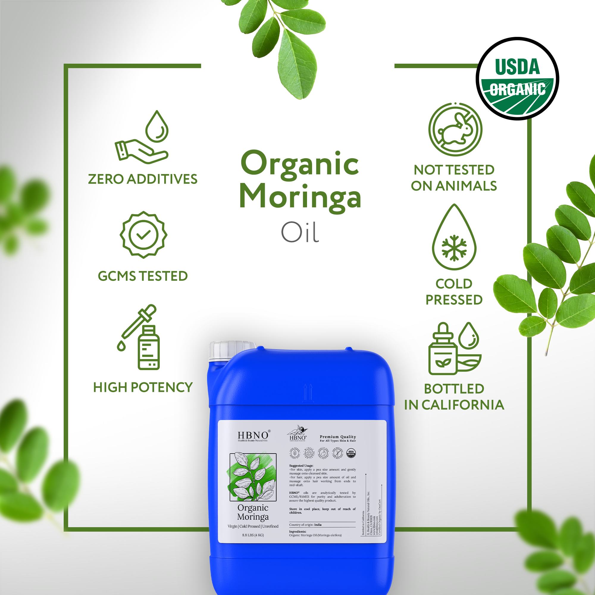 Moringa Seed India Carrier Oil Organic Moringa Seed India Carrier Oil Organic