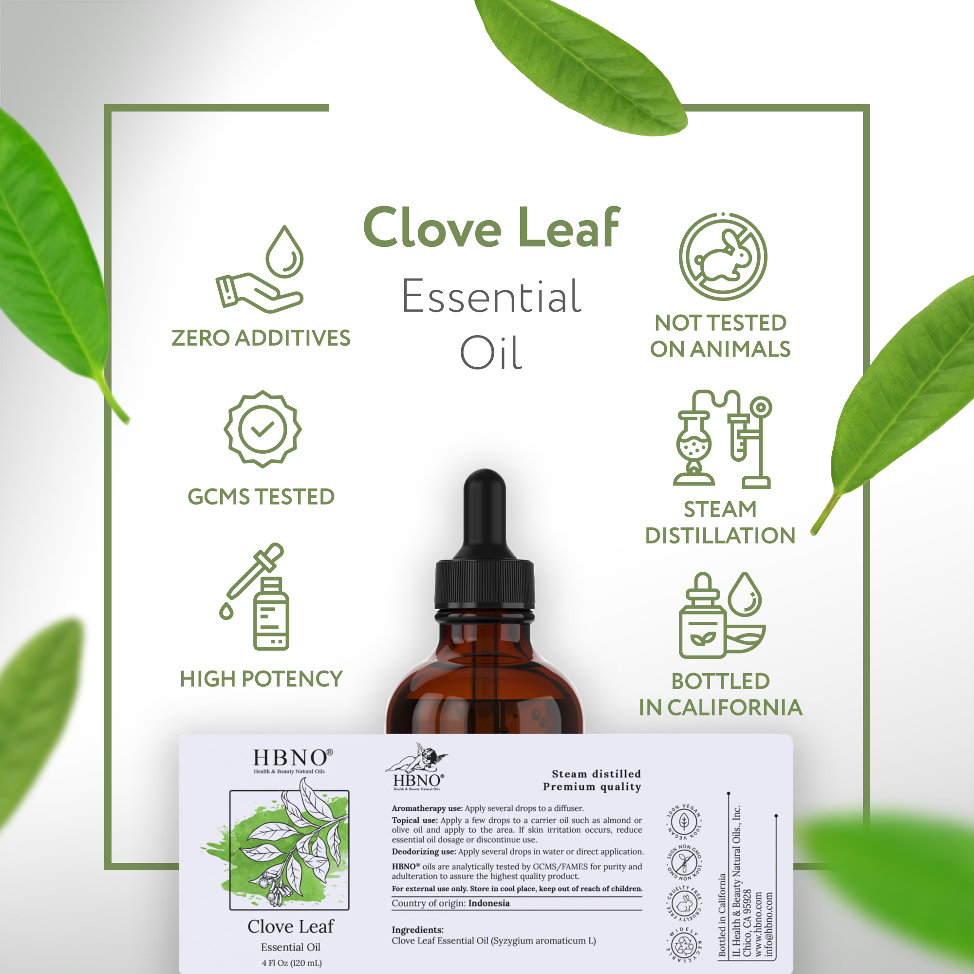 Clove Leaf Essential Oil Clove Leaf Essential Oil