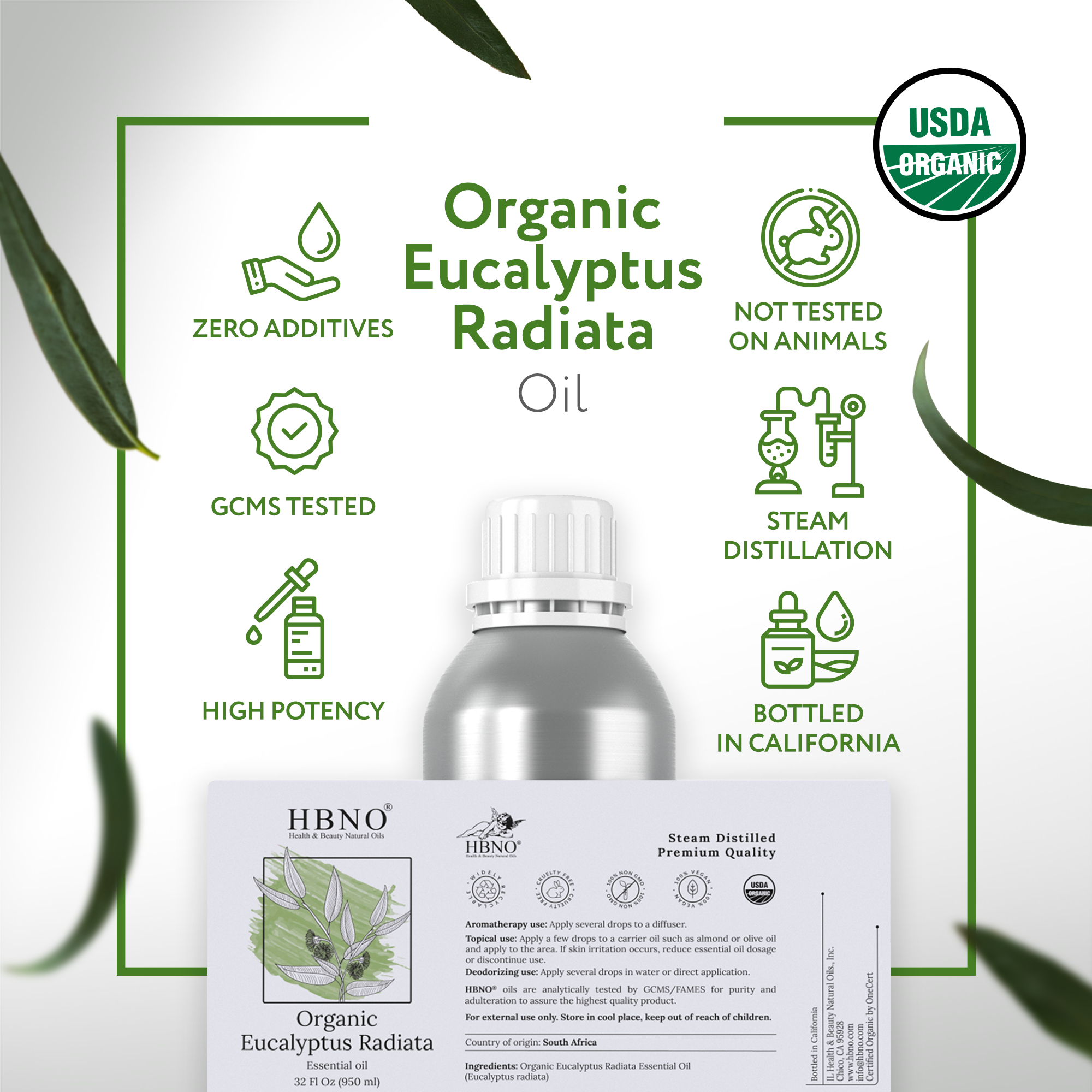 Eucalyptus Radiata Essential Oil Organic Eucalyptus Radiata Essential Oil Organic