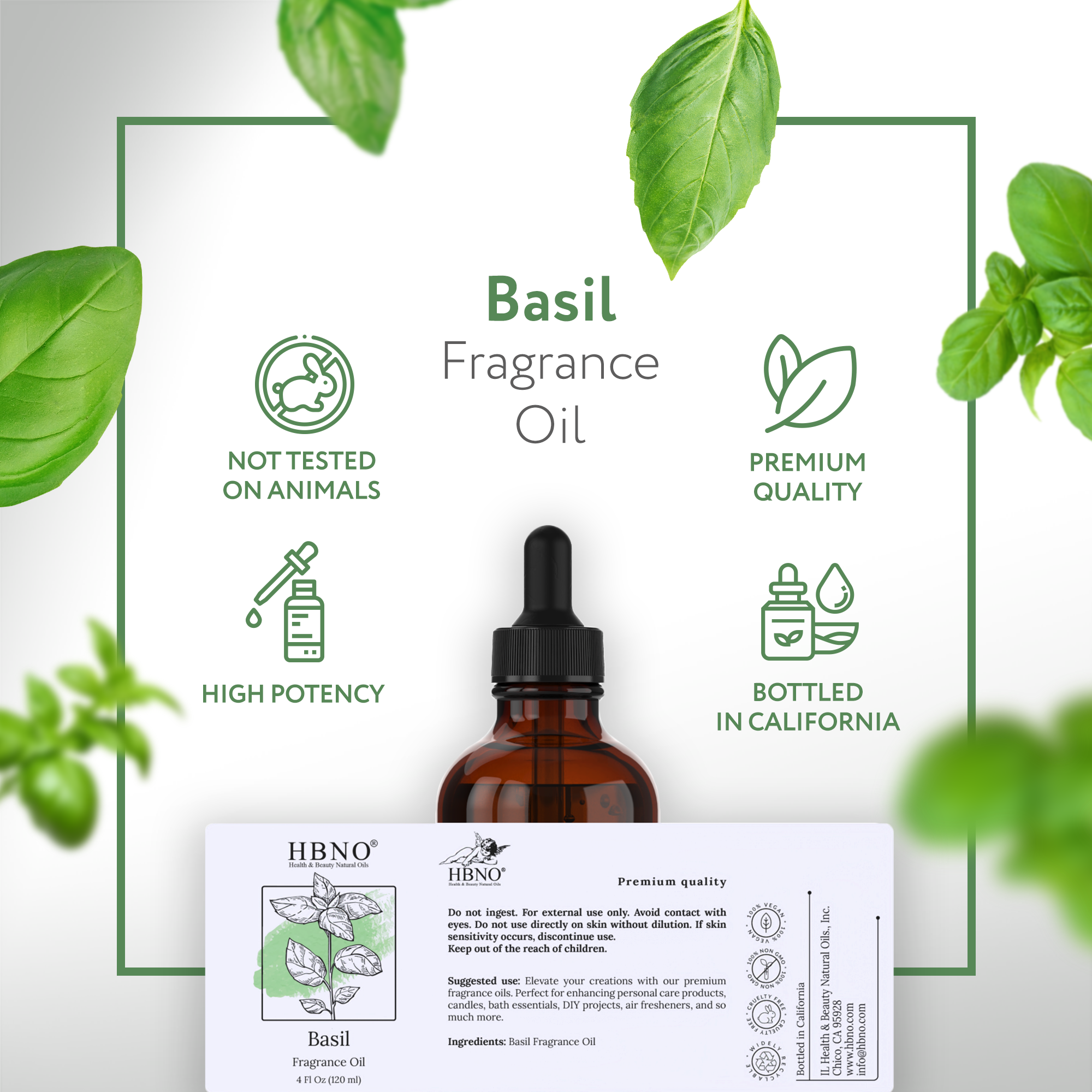 Basil Fragrance