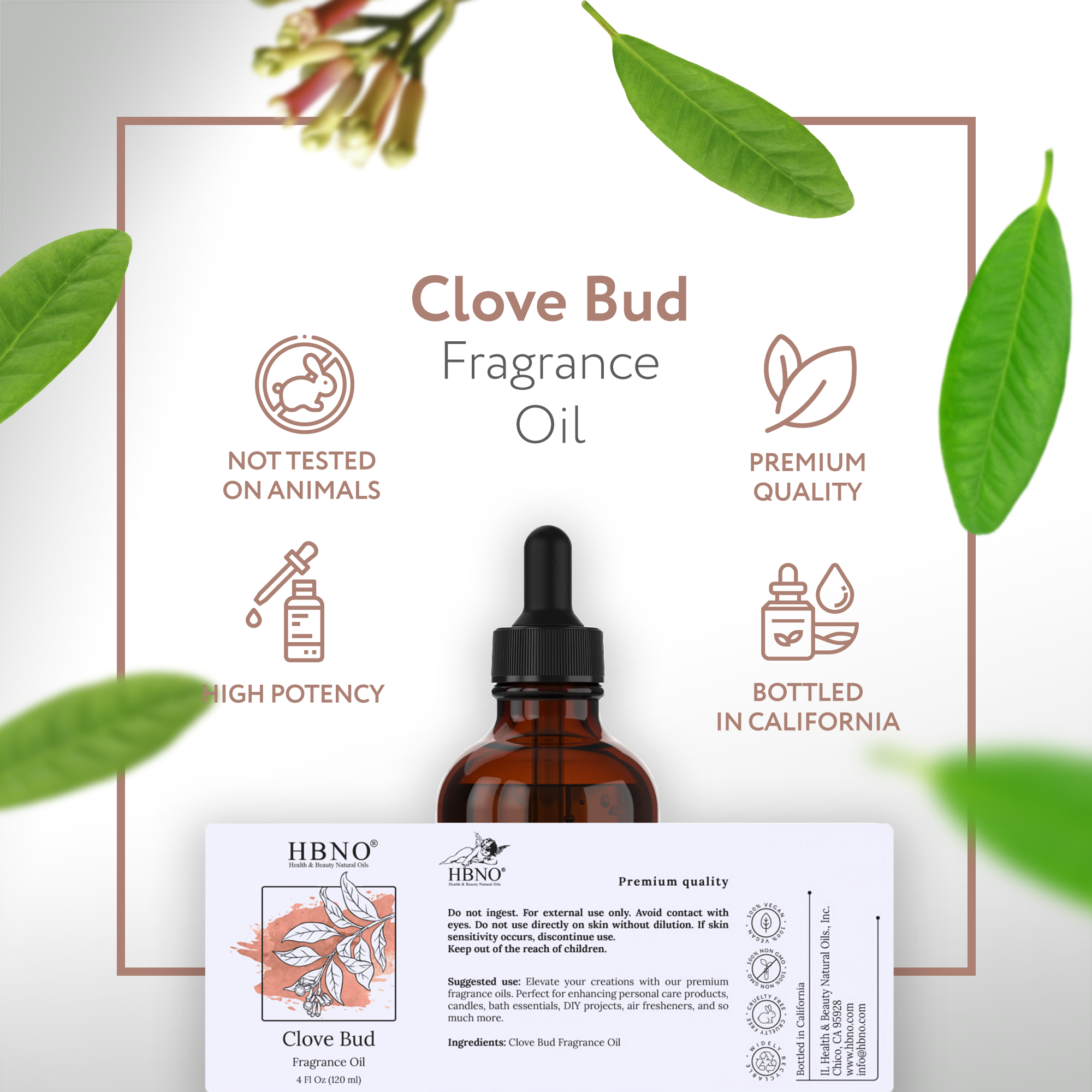 Clove Bud Fragrance