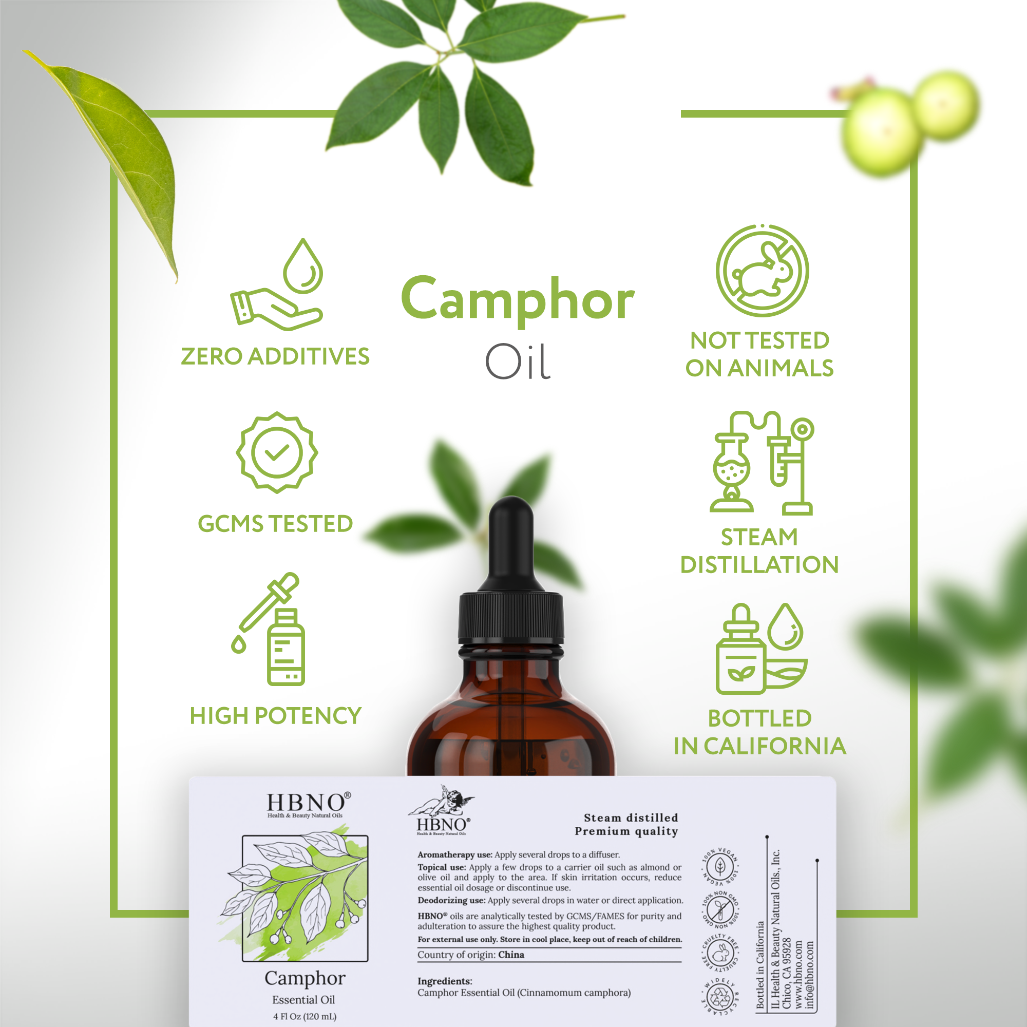 Camphor White Essential Oil Camphor White Essential Oil