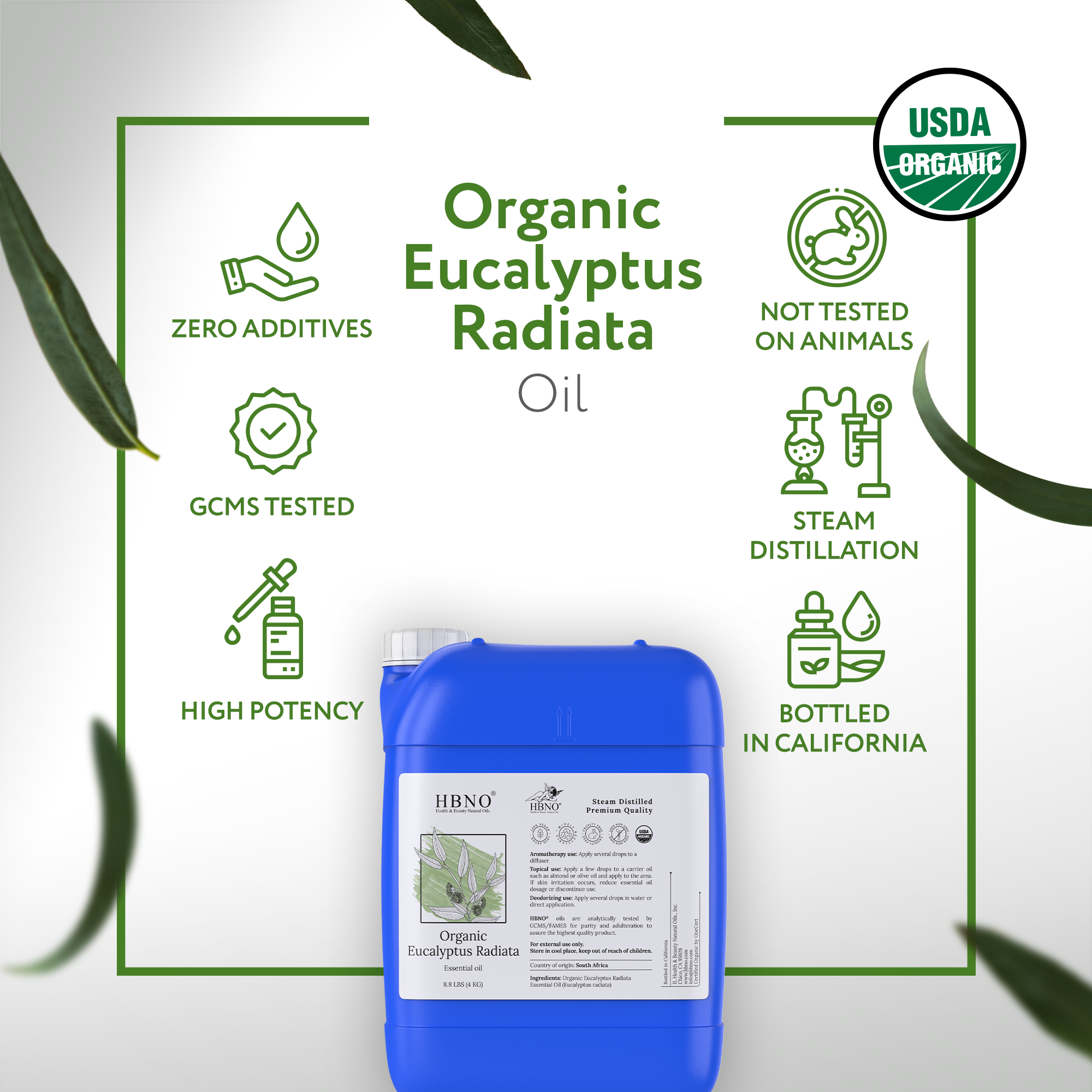 Eucalyptus Radiata Essential Oil Organic Eucalyptus Radiata Essential Oil Organic