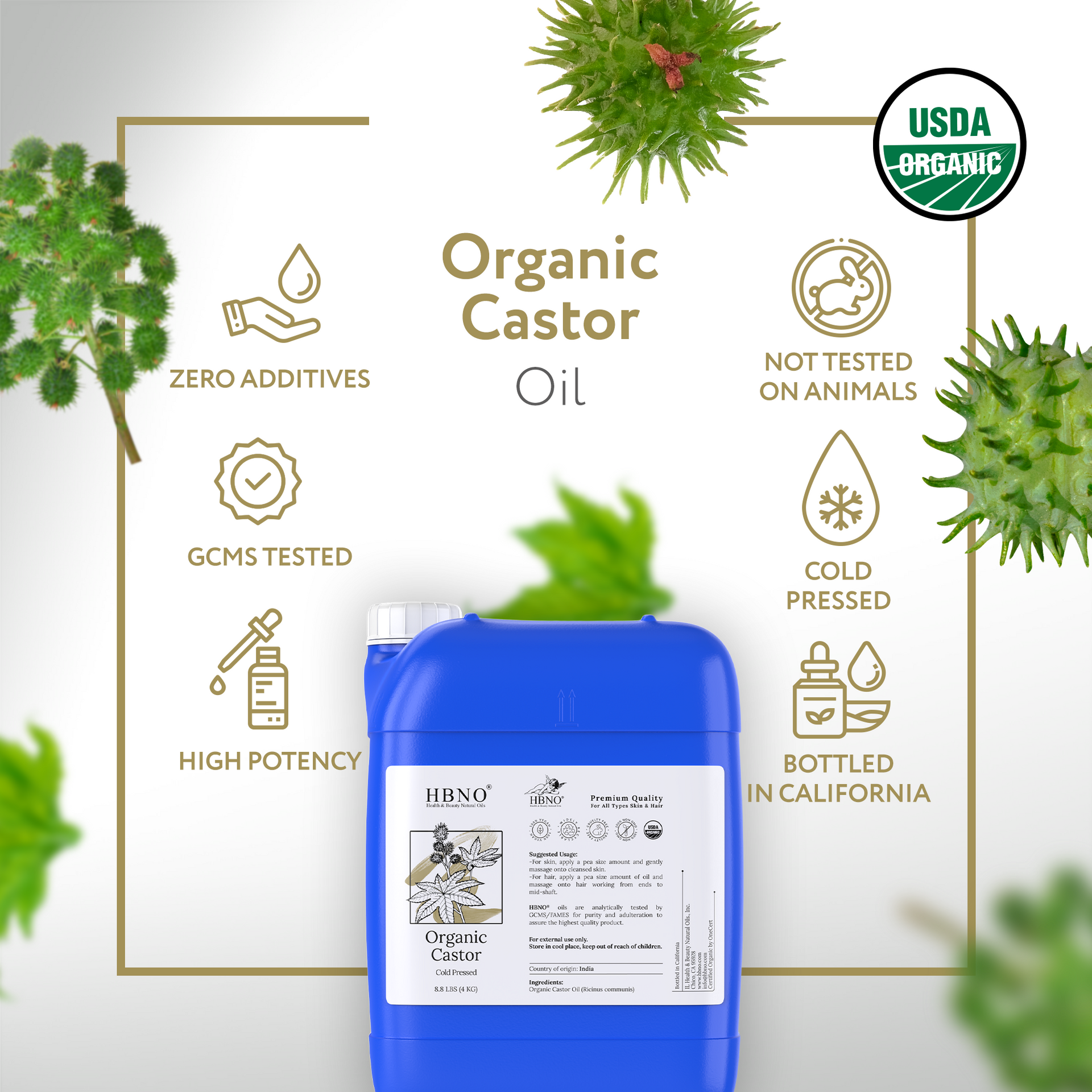 Castor Carrier Oil Organic Castor Carrier Oil Organic