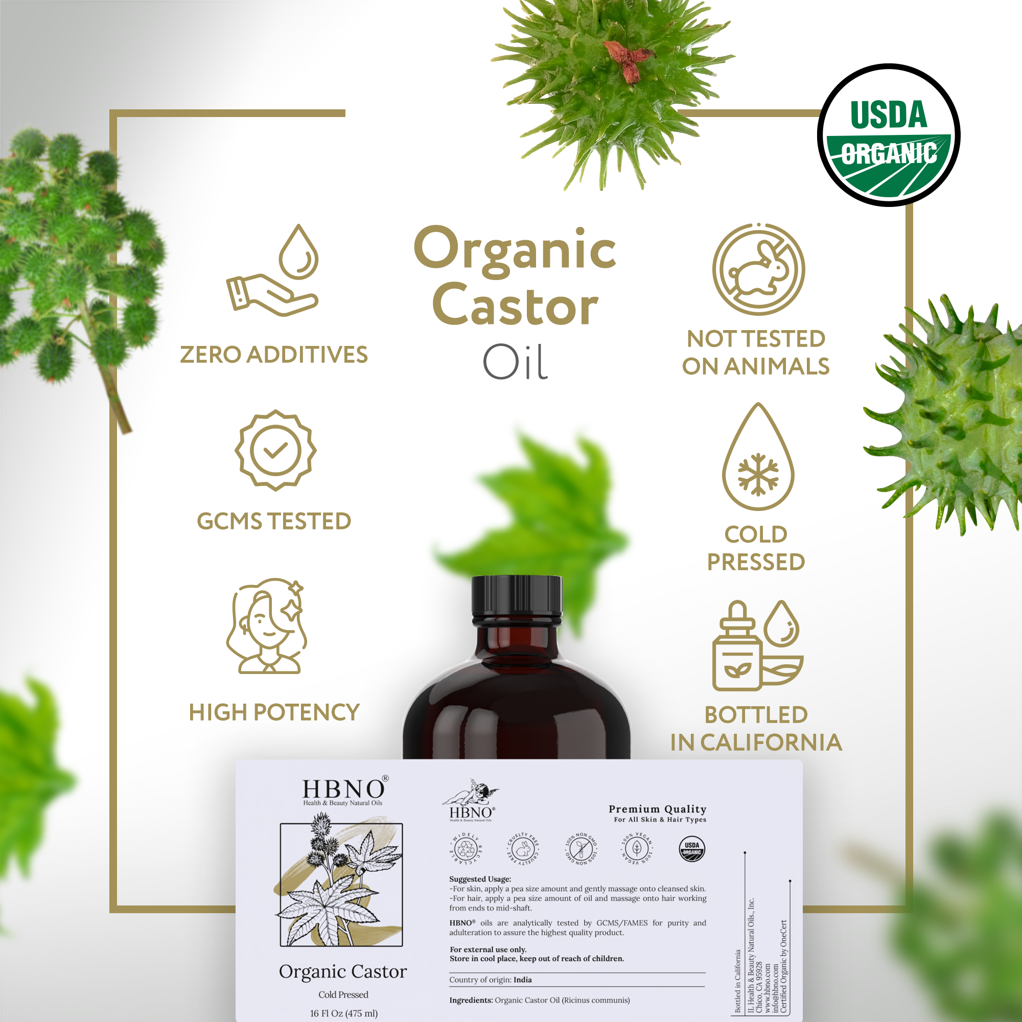 Castor Carrier Oil Organic Castor Carrier Oil Organic