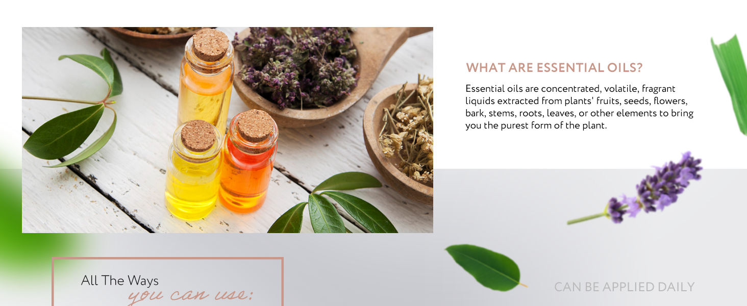 Essential Oil Gift Set 8 Set Essential Oil Gift Set 8 Set