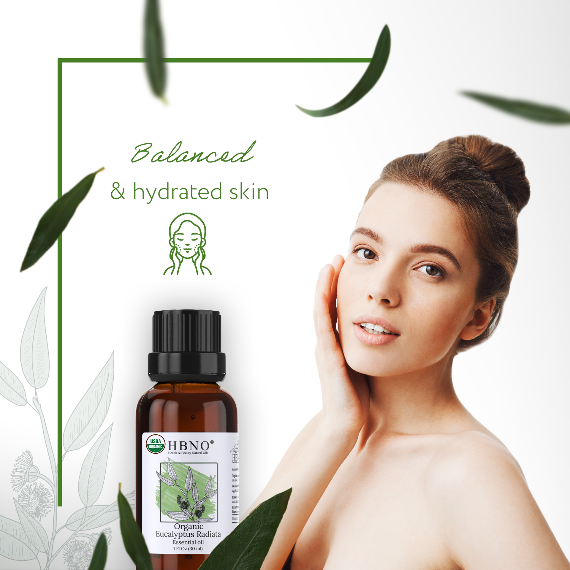 Eucalyptus Radiata Essential Oil Organic Eucalyptus Radiata Essential Oil Organic