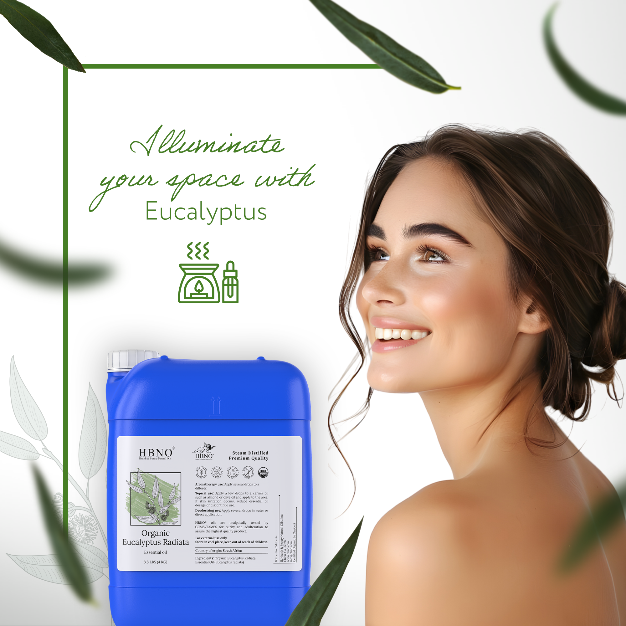 Eucalyptus Radiata Essential Oil Organic Eucalyptus Radiata Essential Oil Organic