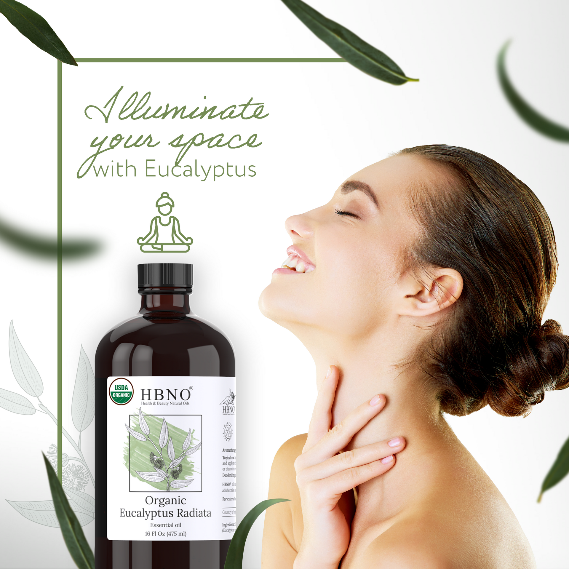 Eucalyptus Radiata Essential Oil Organic Eucalyptus Radiata Essential Oil Organic