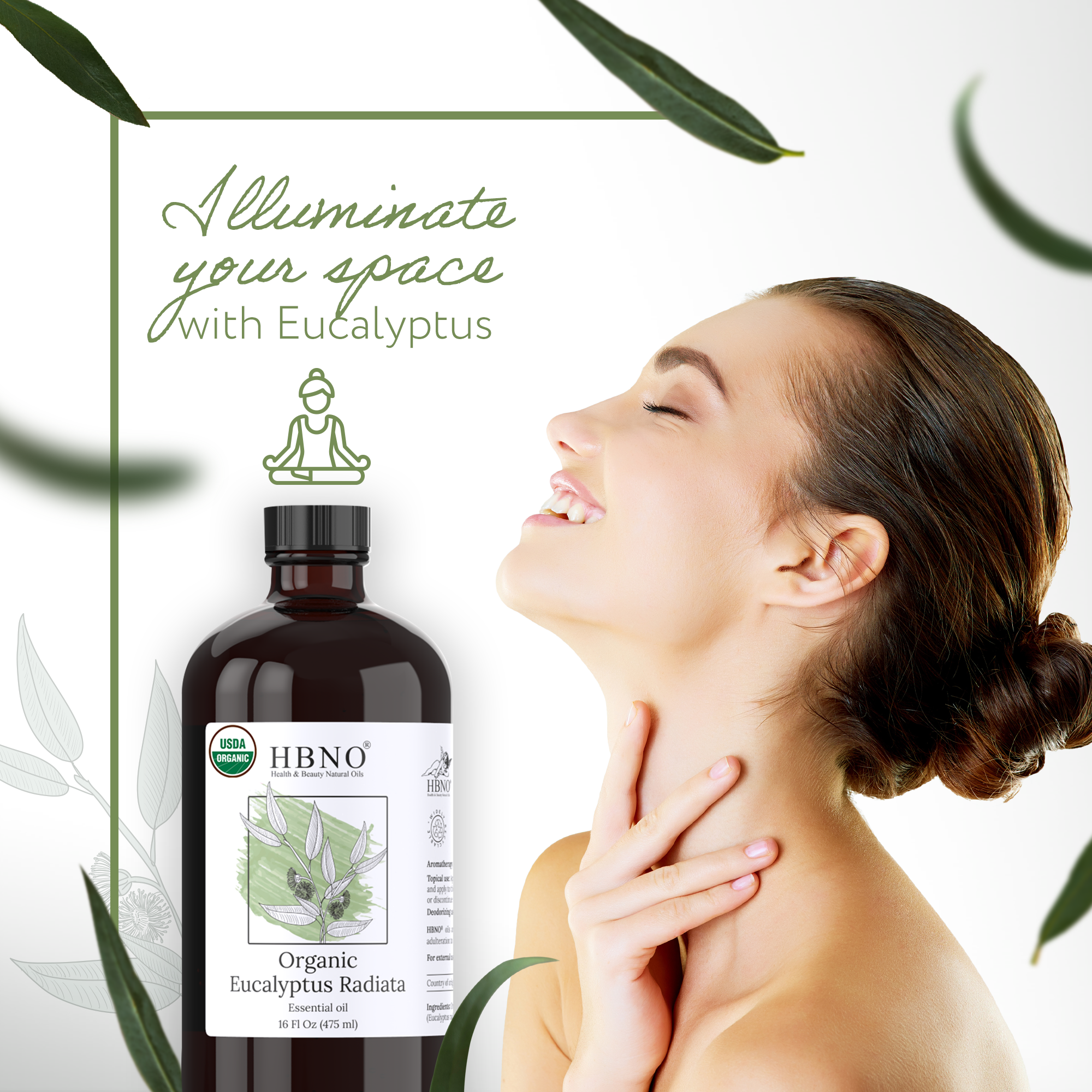 Eucalyptus Radiata Essential Oil Organic Eucalyptus Radiata Essential Oil Organic