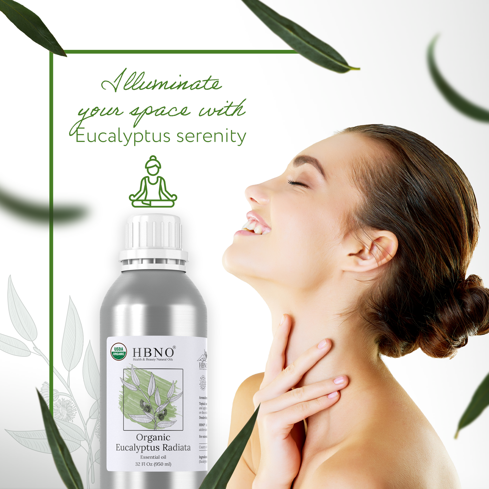 Eucalyptus Radiata Essential Oil Organic Eucalyptus Radiata Essential Oil Organic