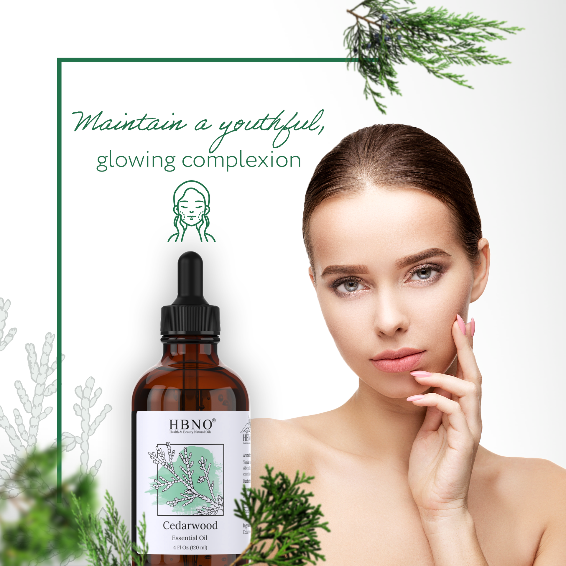 Cedarwood Essential Oil Cedarwood Essential Oil