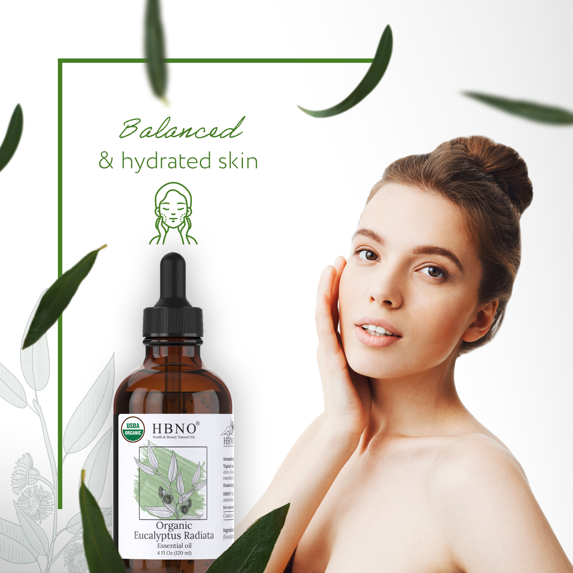 Eucalyptus Radiata Essential Oil Organic Eucalyptus Radiata Essential Oil Organic