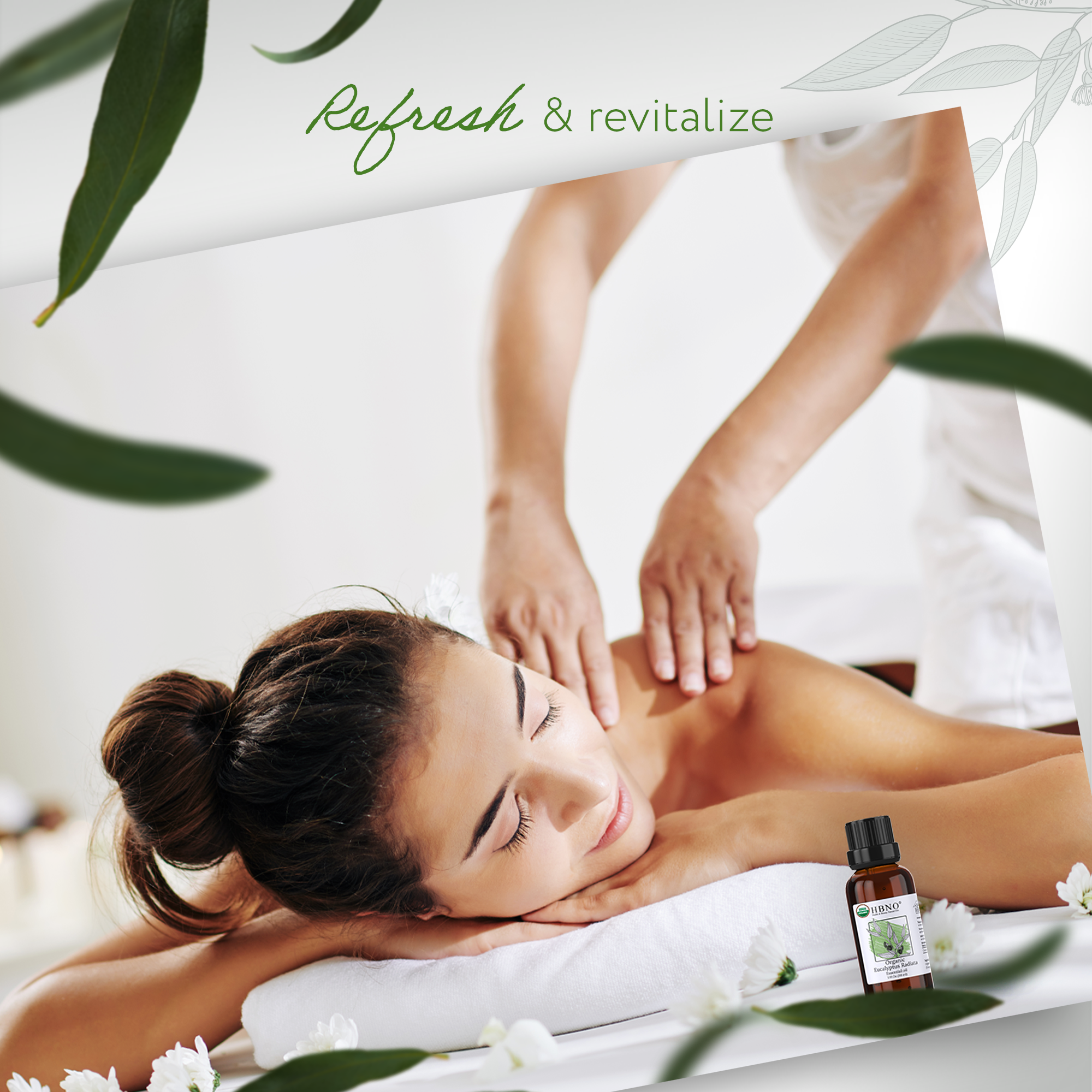 Eucalyptus Radiata Essential Oil Organic Eucalyptus Radiata Essential Oil Organic