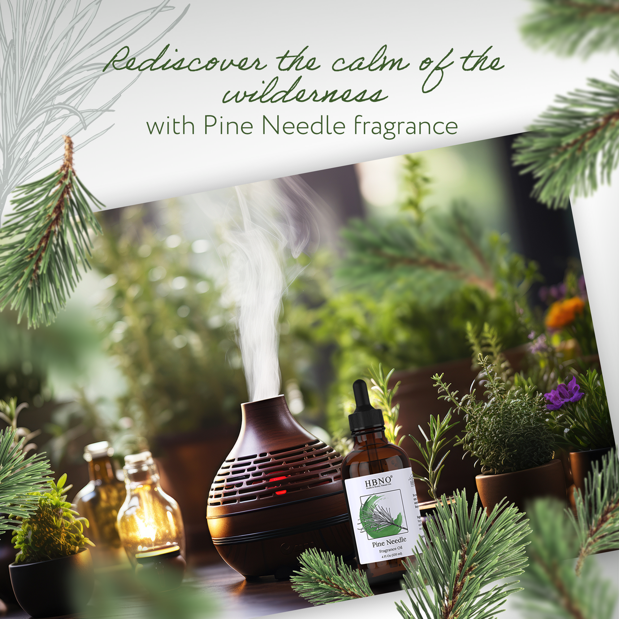 Pine Needle Natural Fragrance Pine Needle Natural Fragrance