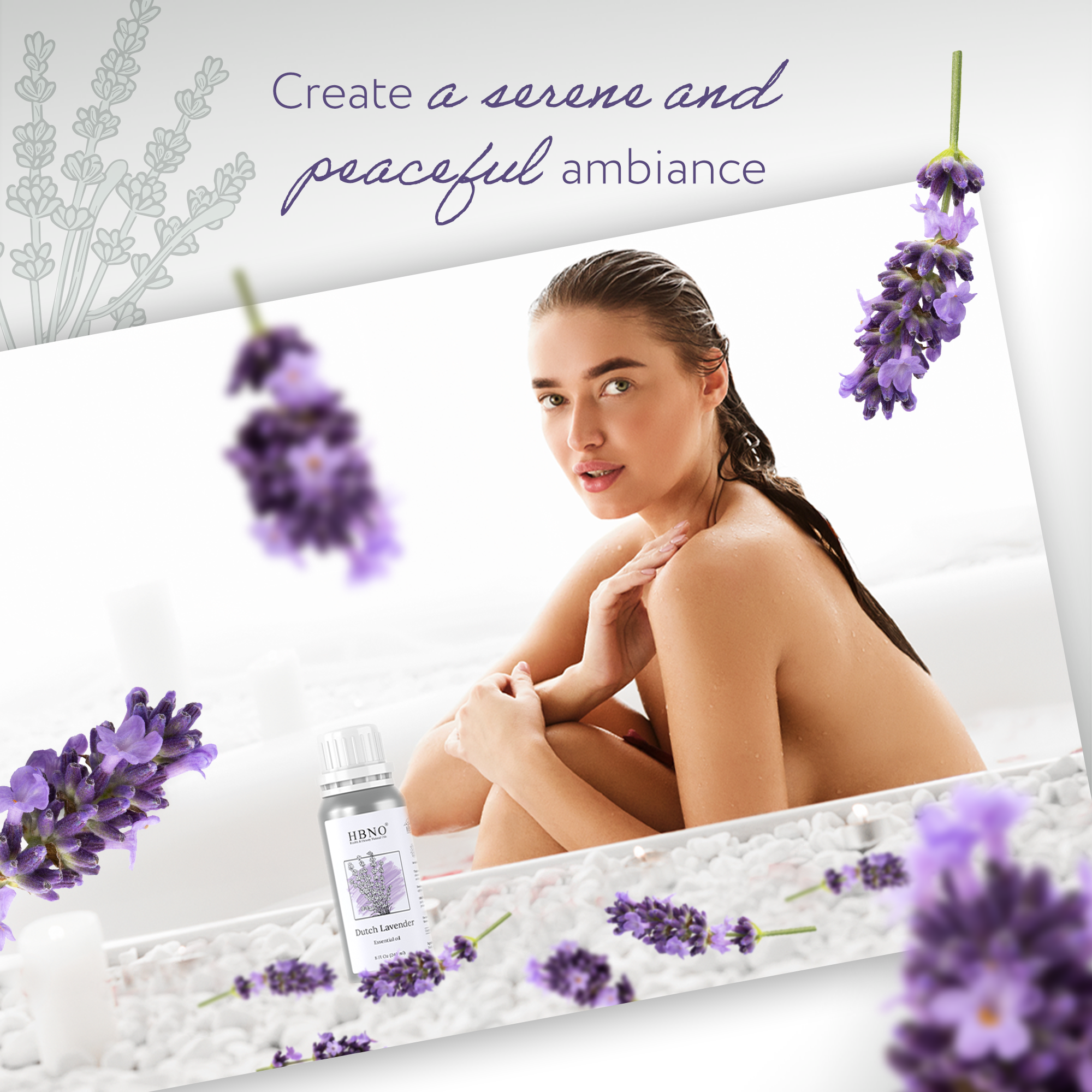 Lavandin Dutch Lavender Essential Oil Lavandin Dutch Lavender Essential Oil