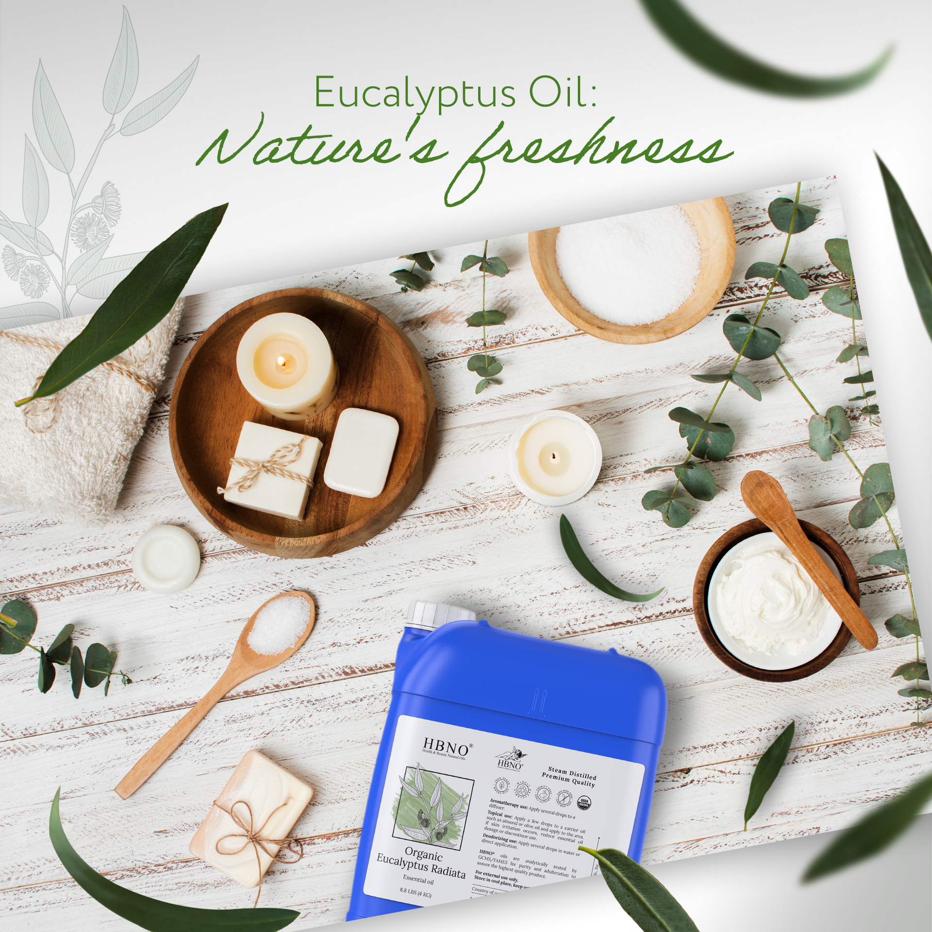 Eucalyptus Radiata Essential Oil Organic Eucalyptus Radiata Essential Oil Organic