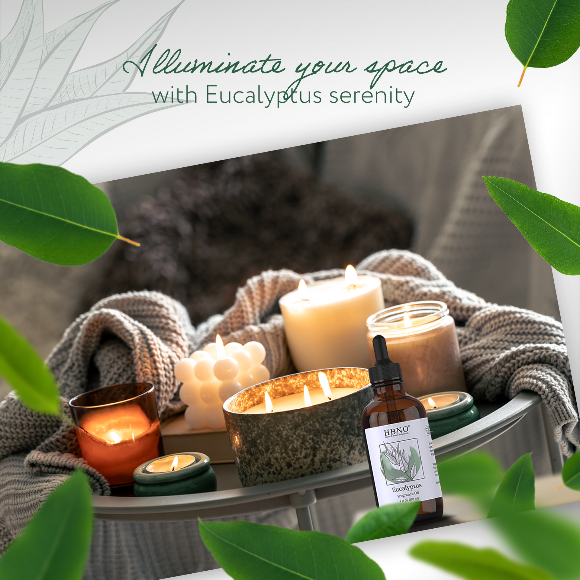 Eucalyptus Natural Fragrance Eucalyptus Natural Fragrance