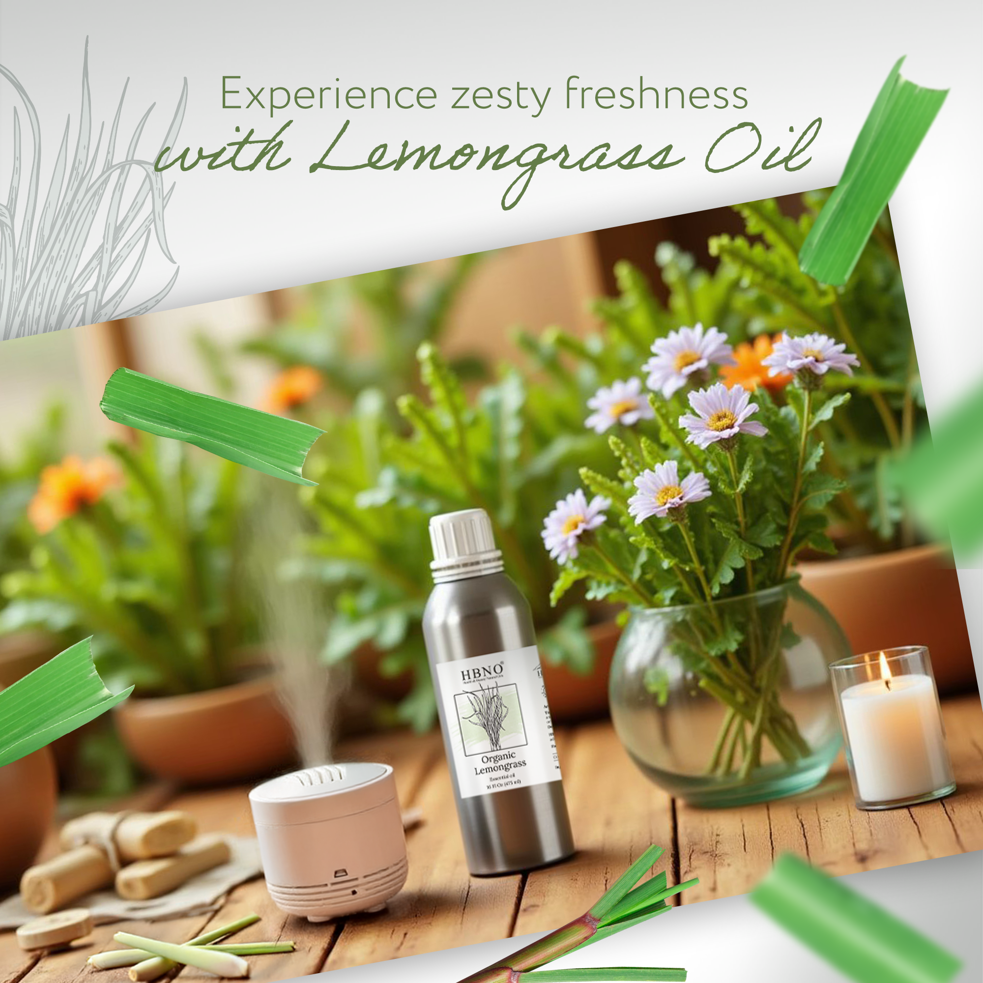 Lemongrass Essential Oil Organic Lemongrass Essential Oil