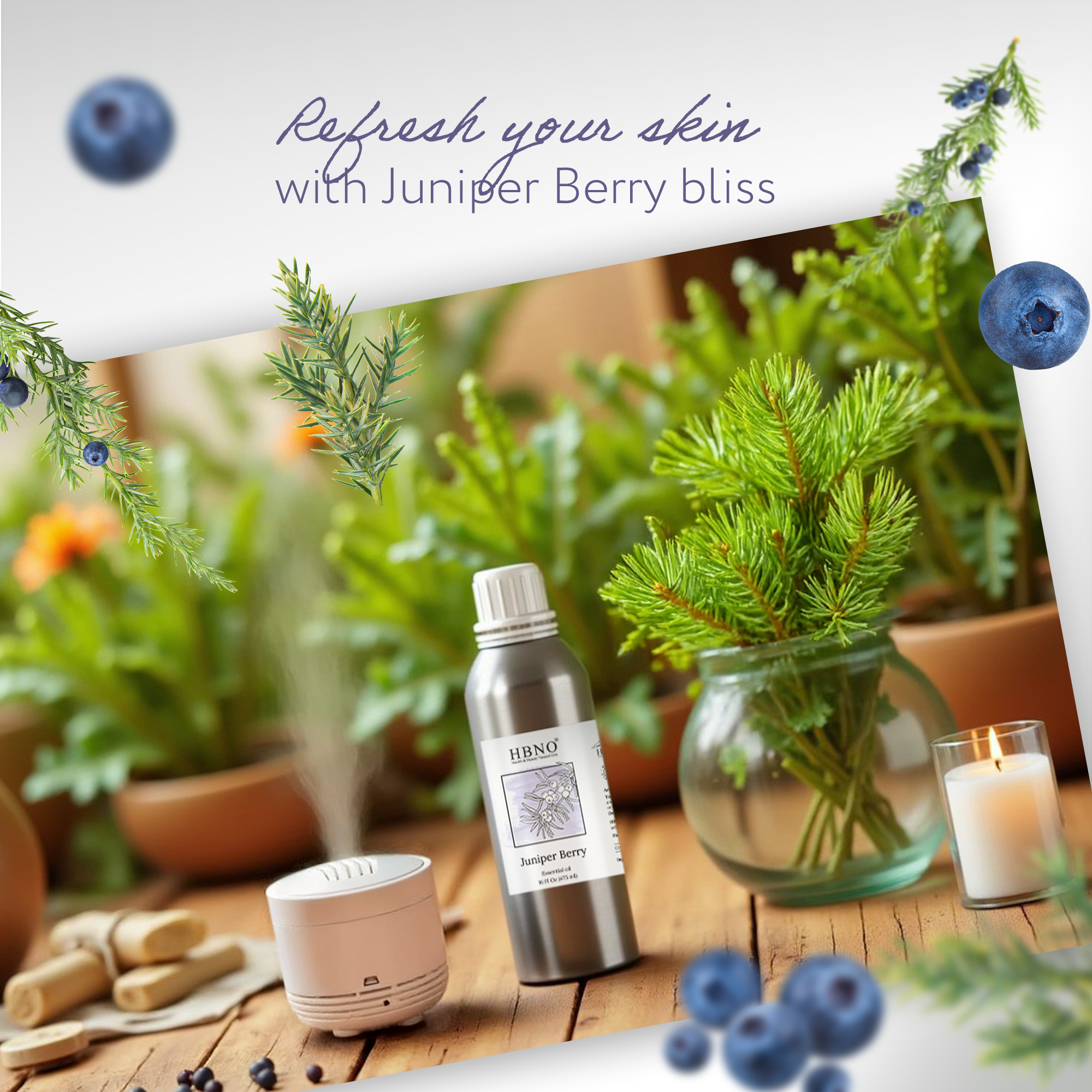 Juniper Berry Essential Oil Juniper Berry Essential Oil